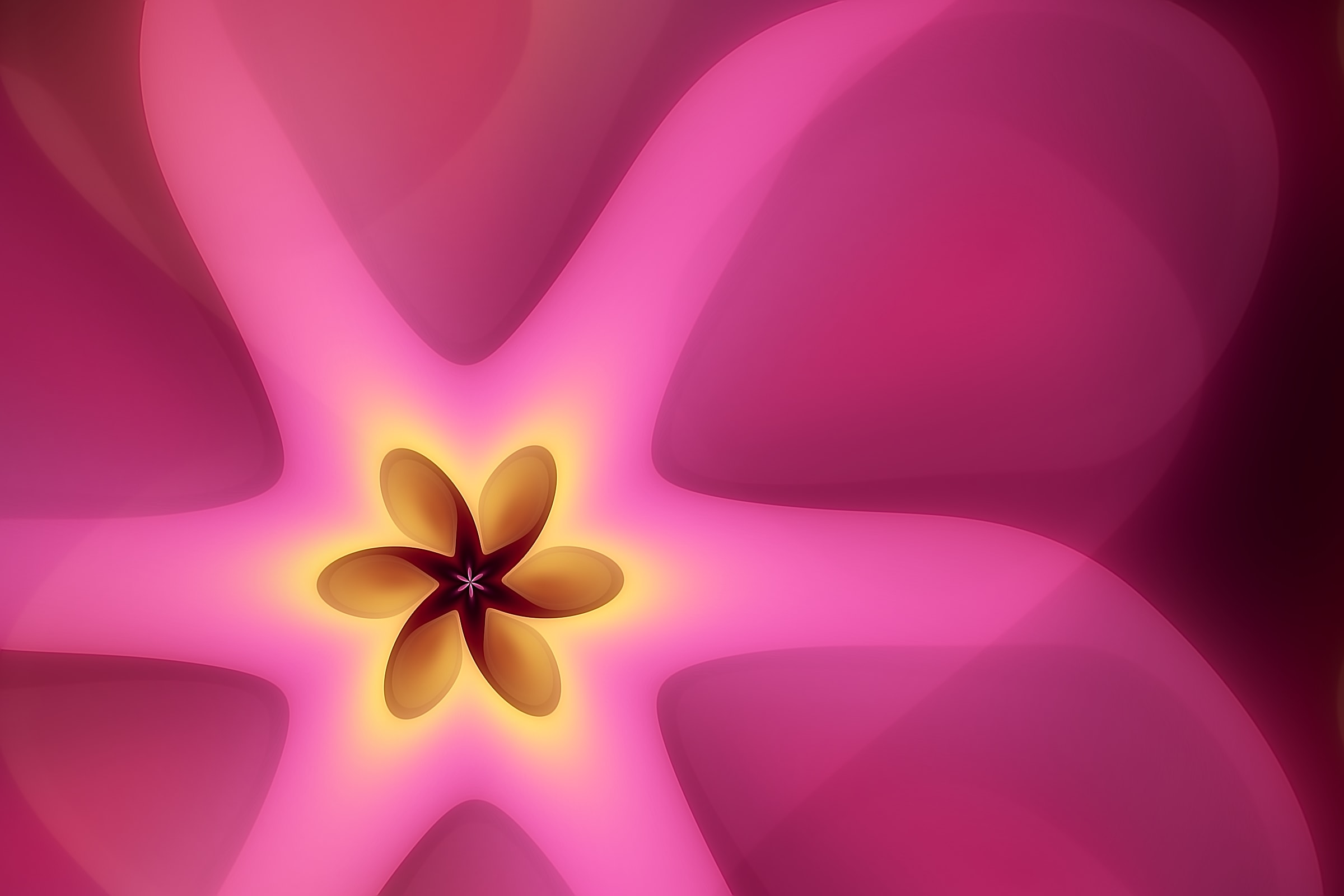 Volute