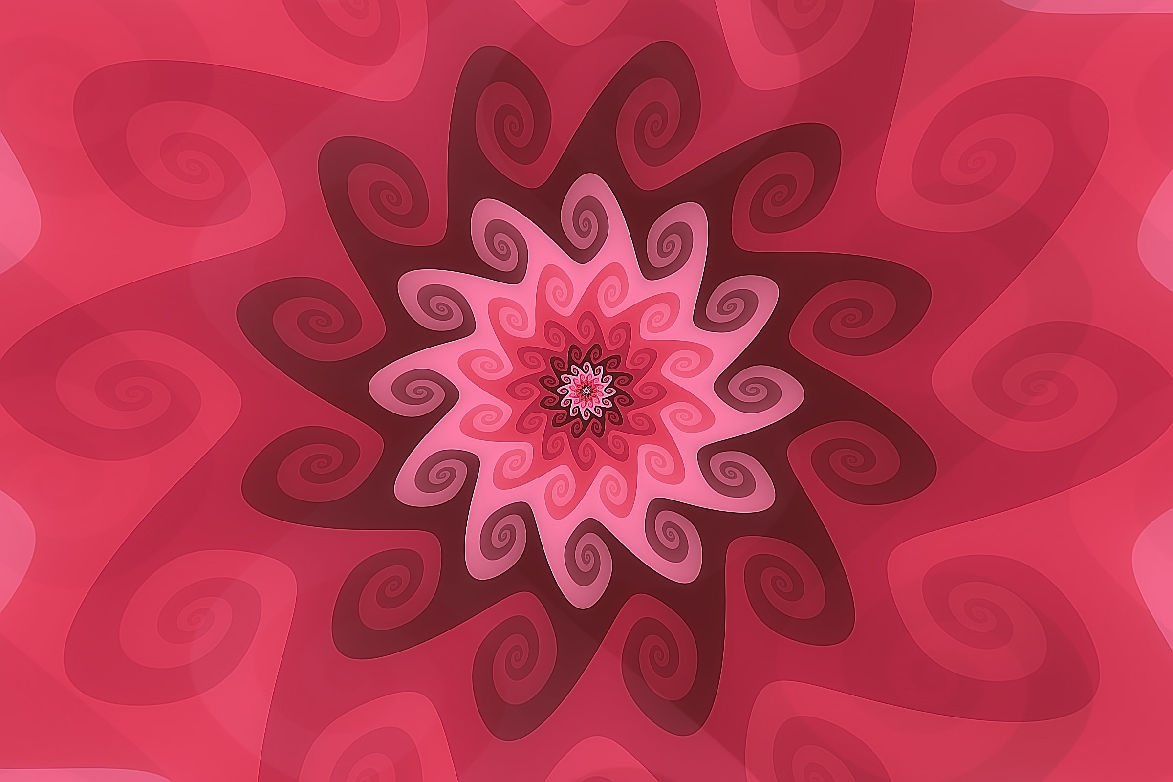Volute