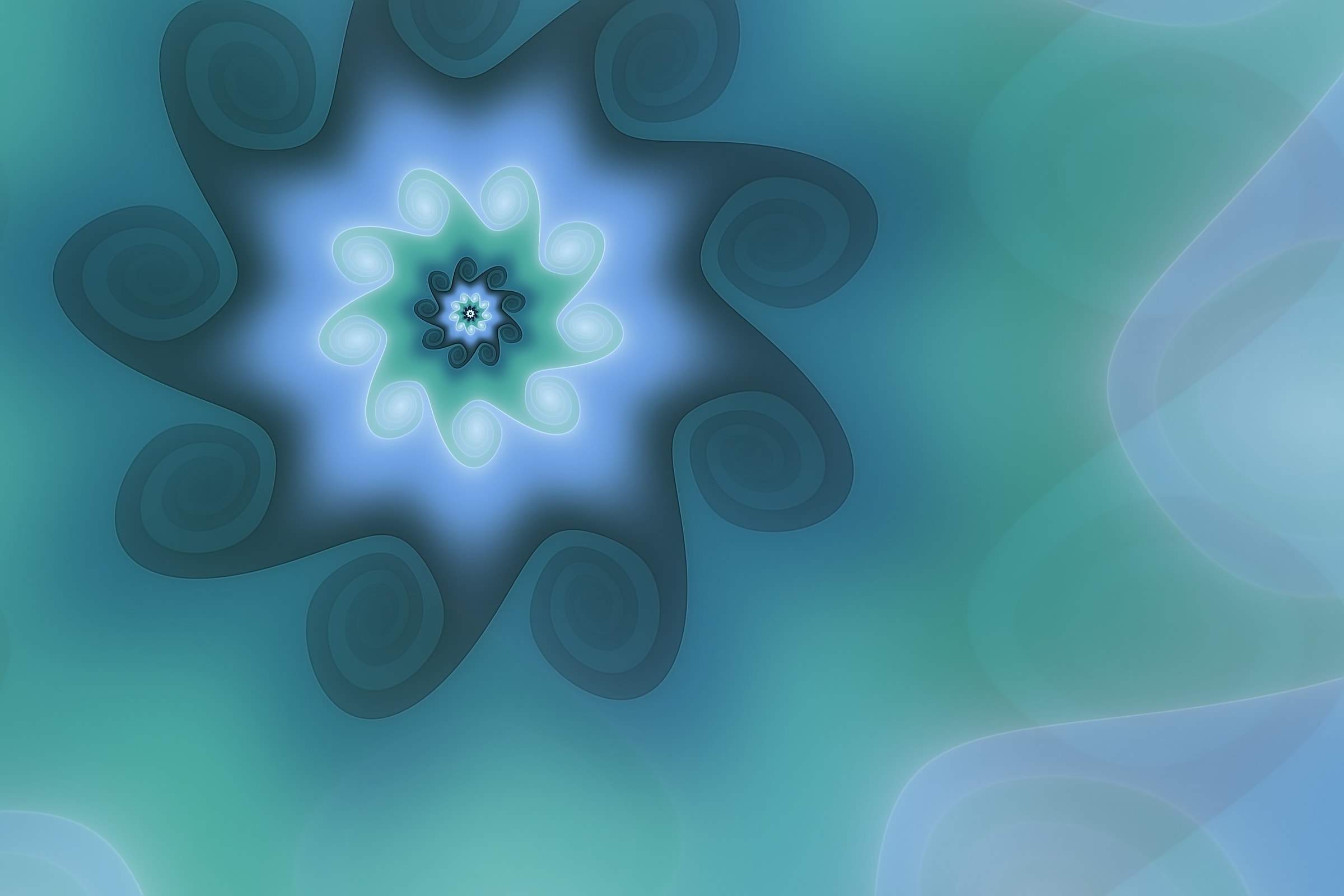 Volute