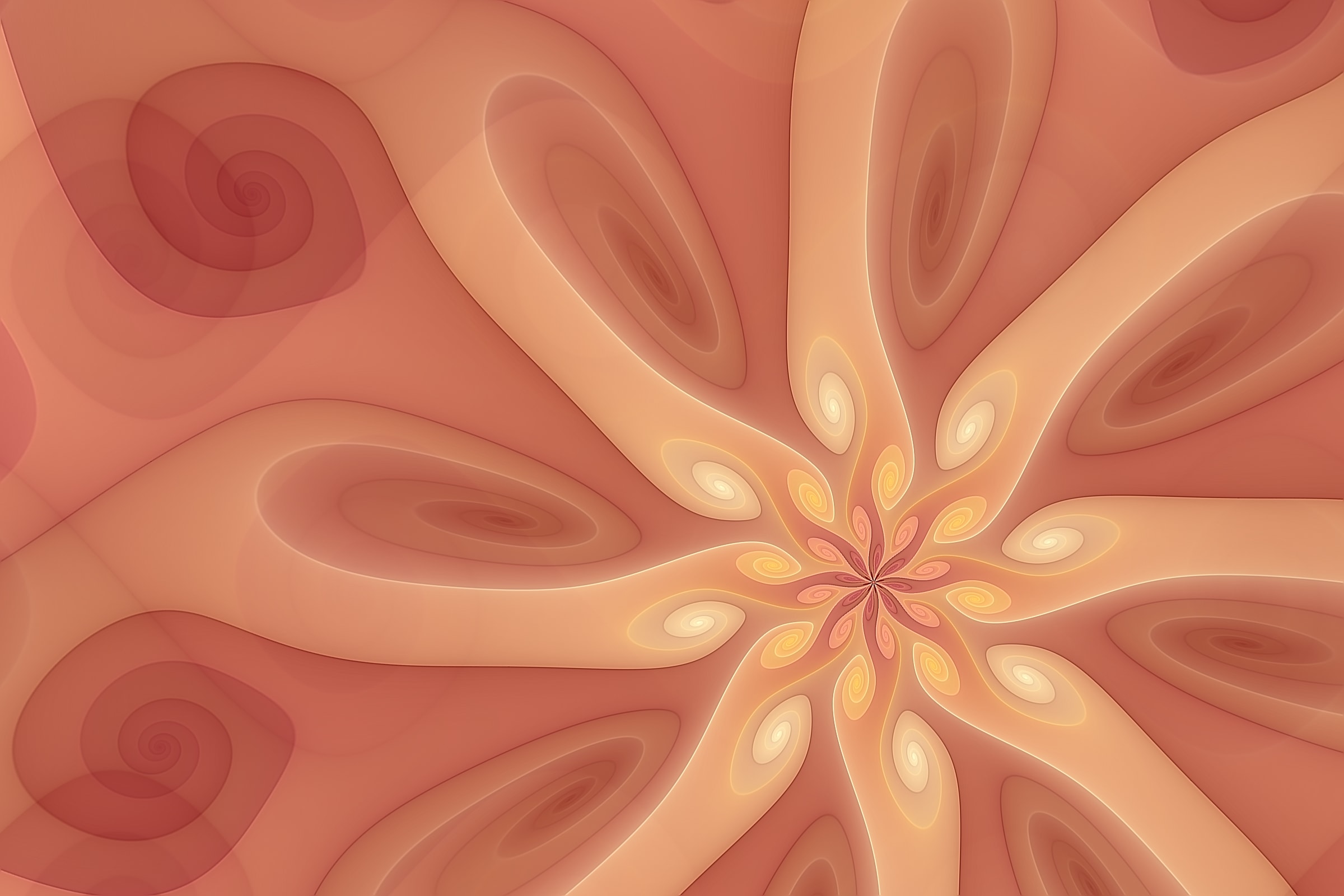 Volute