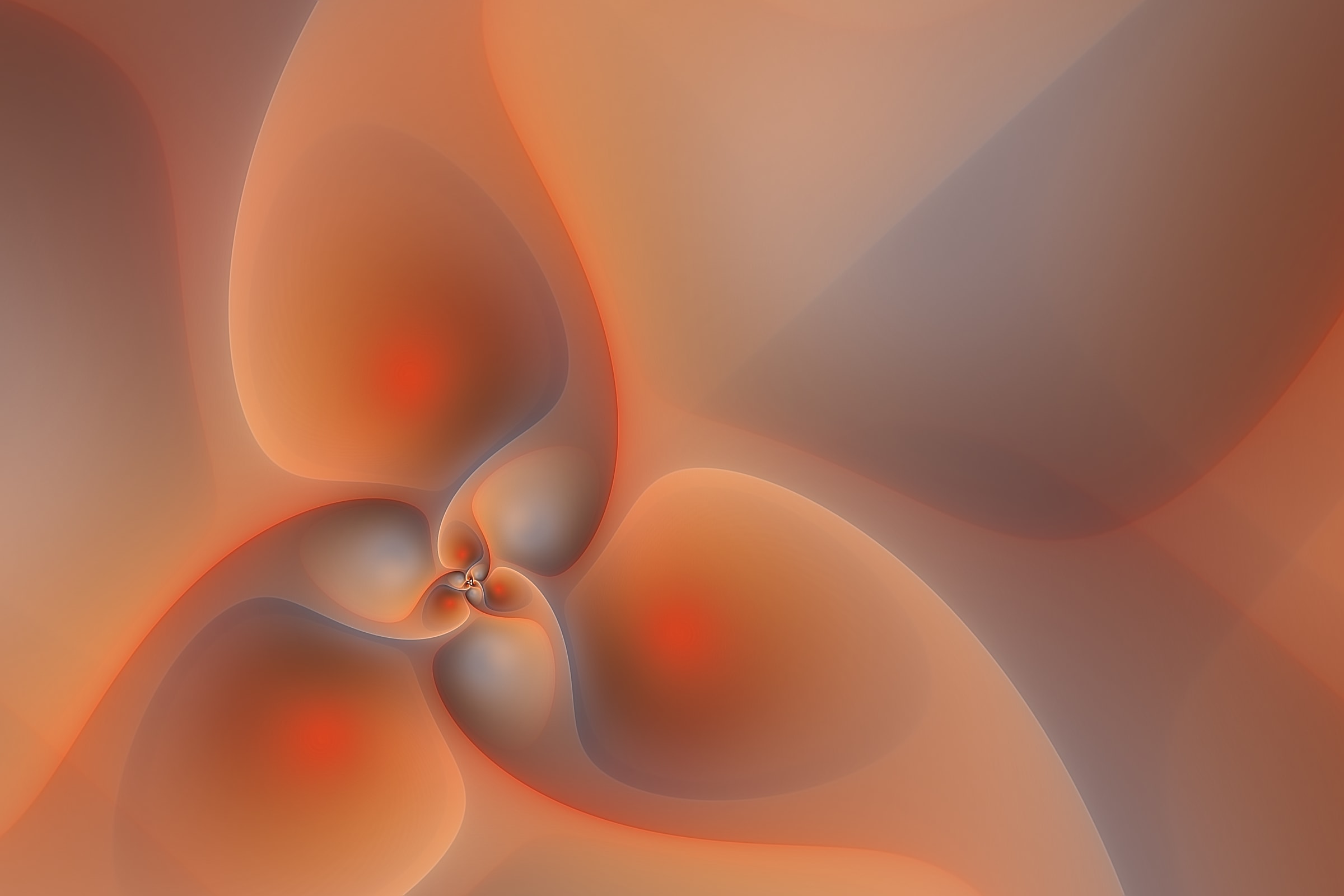 Volute
