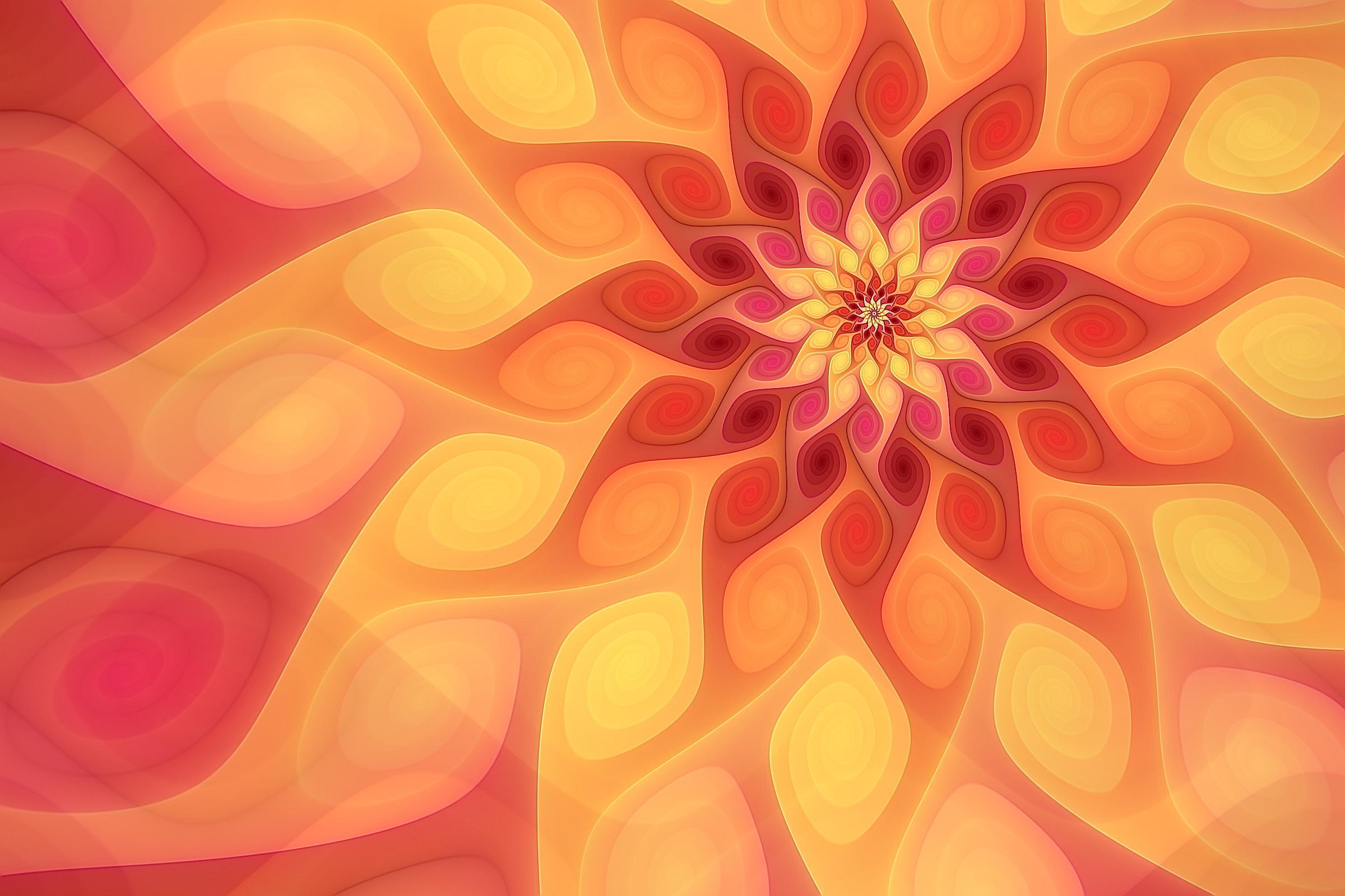 Volute
