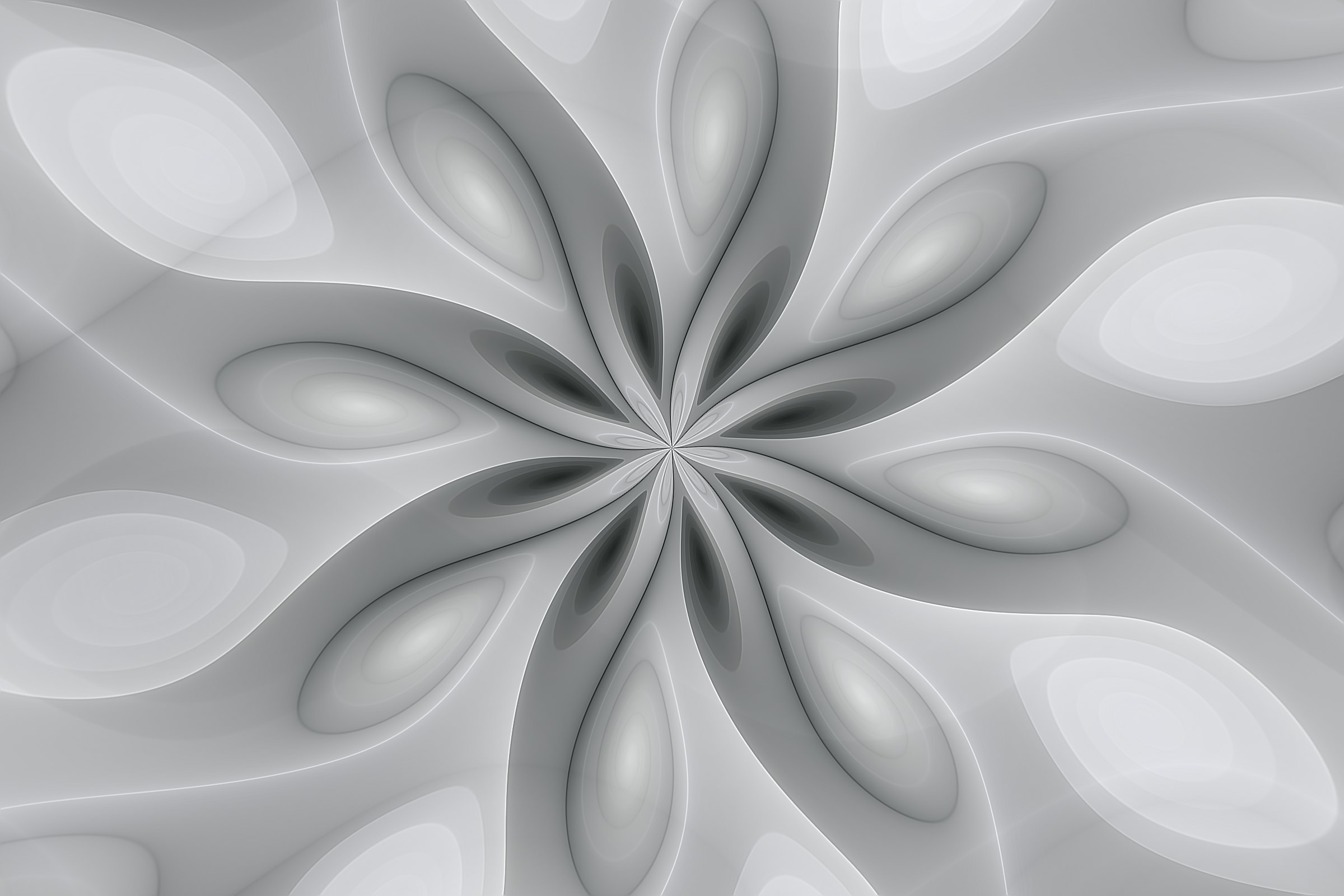 Volute