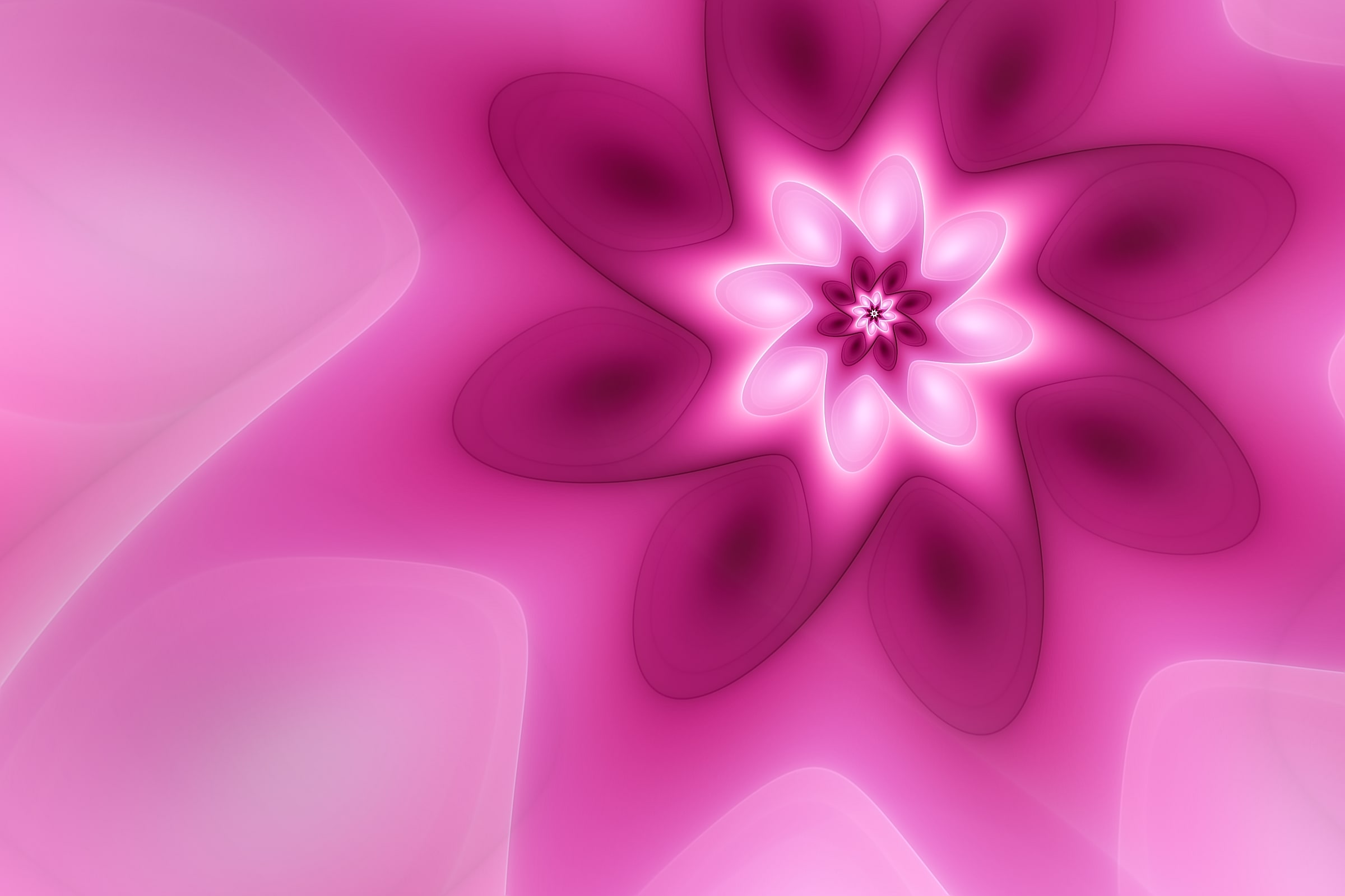 Volute