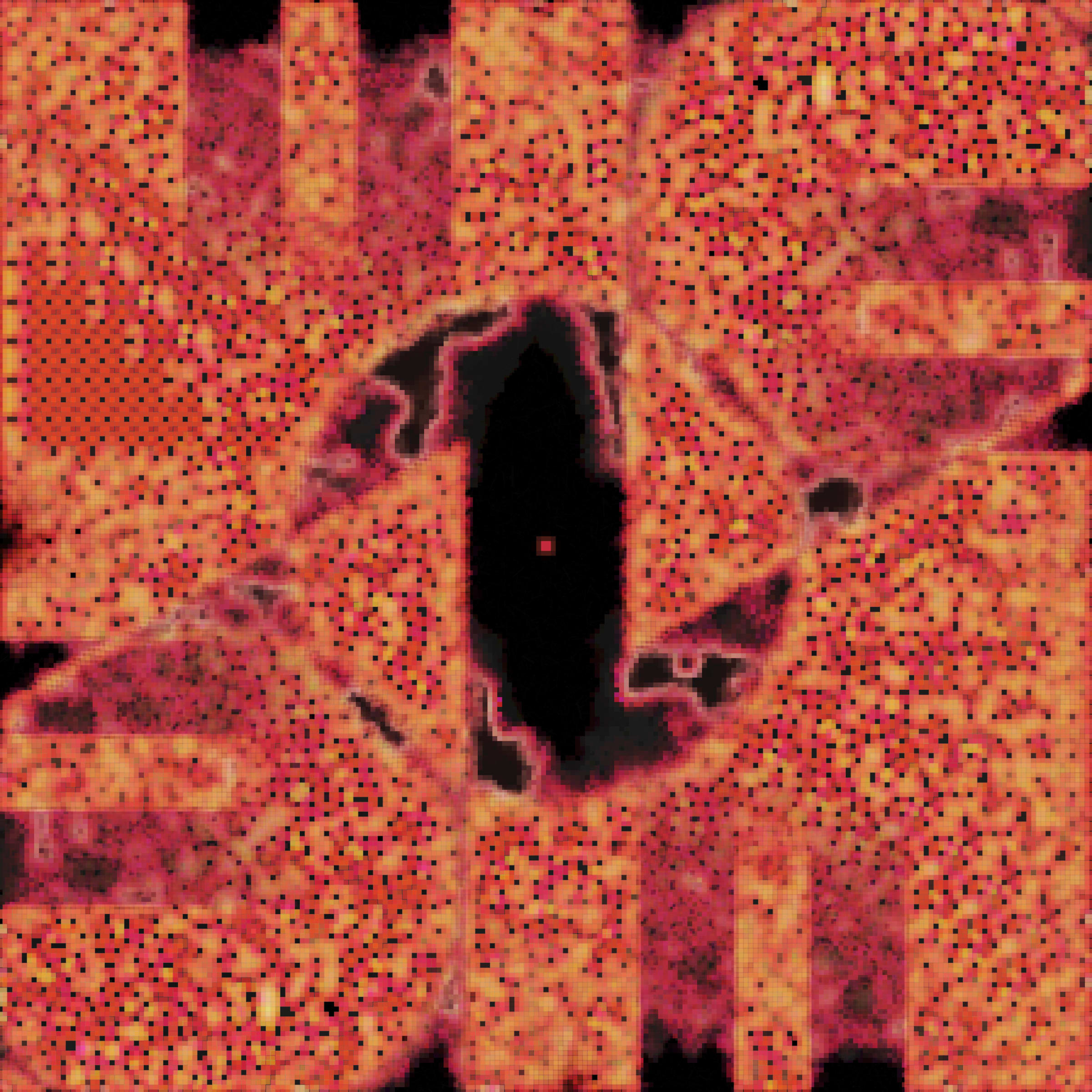 395000005