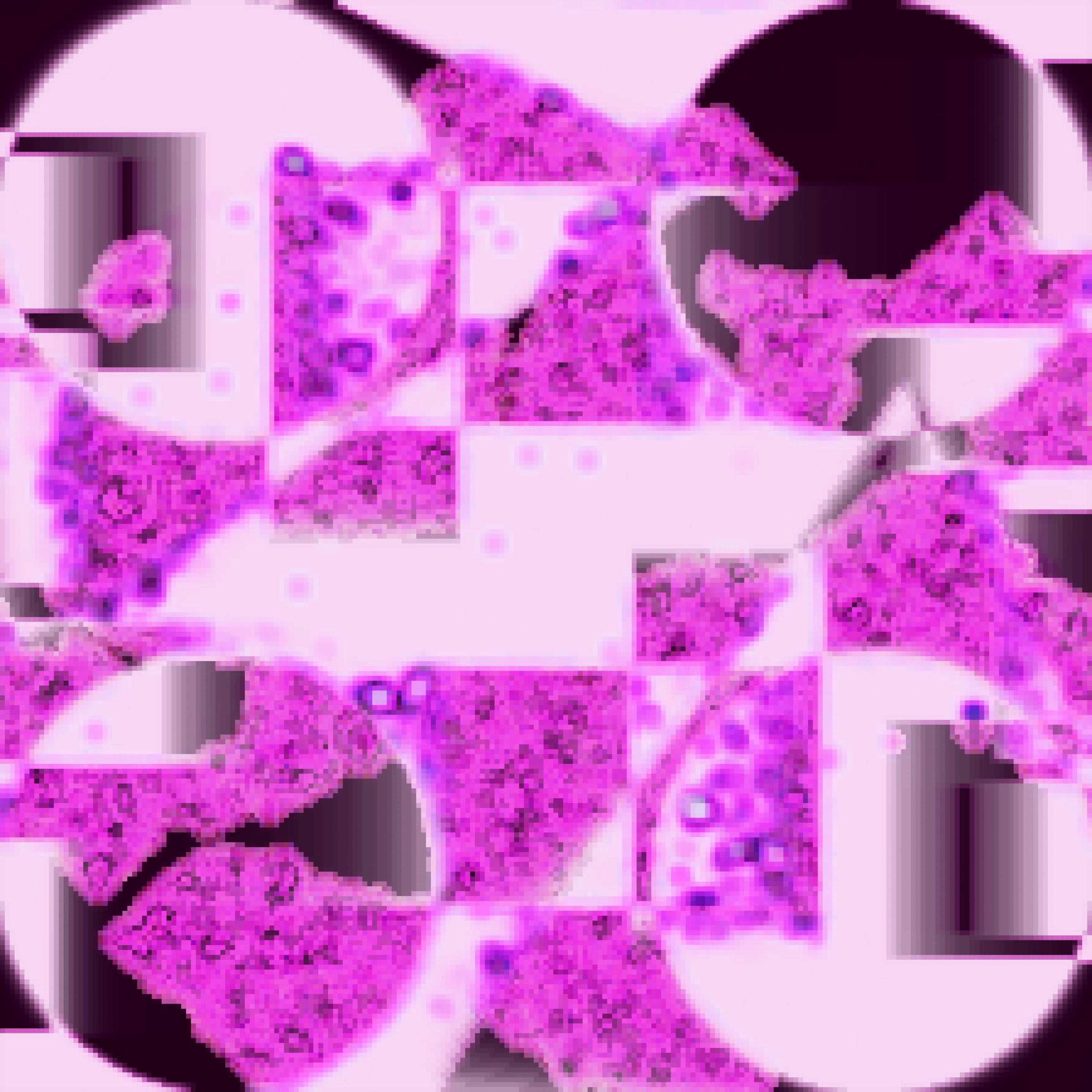 395000028