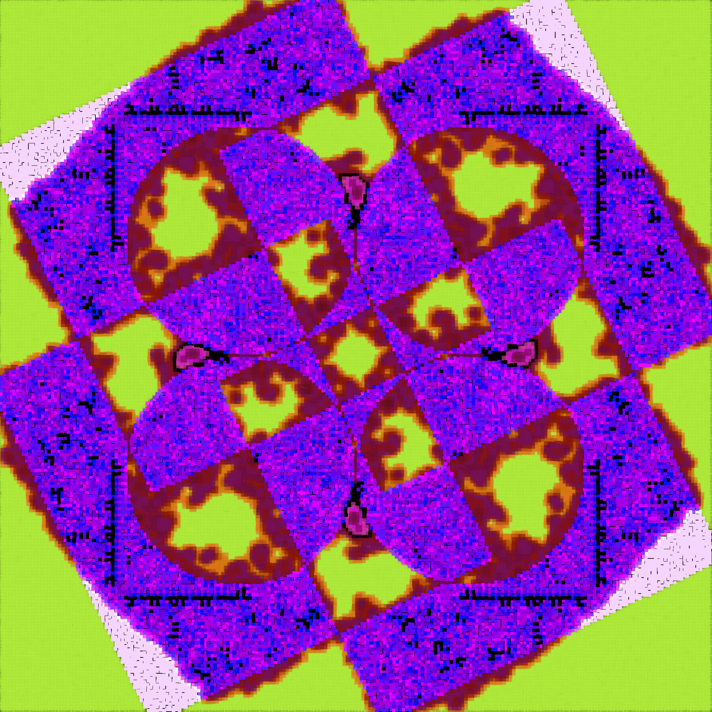 395000116