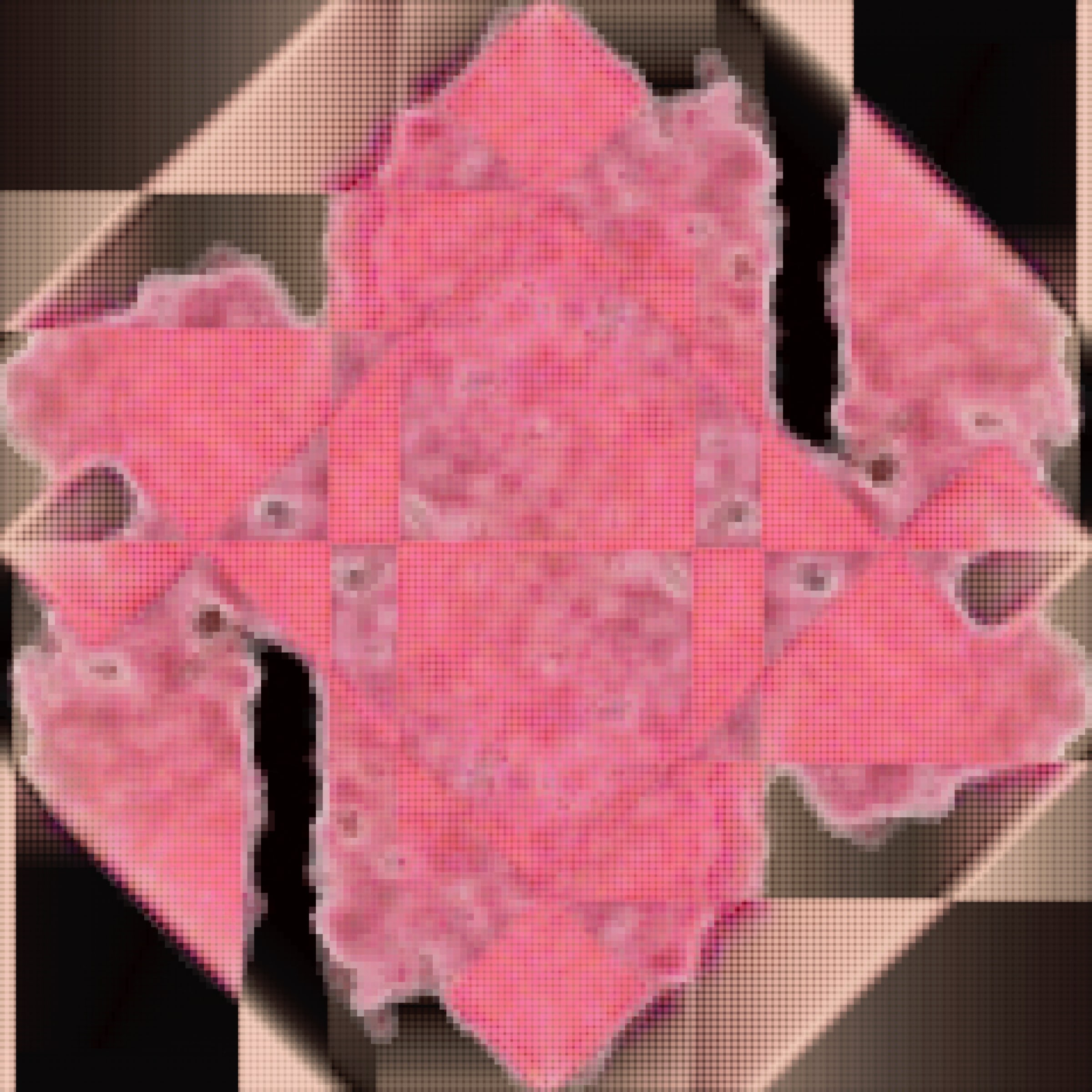 395000127