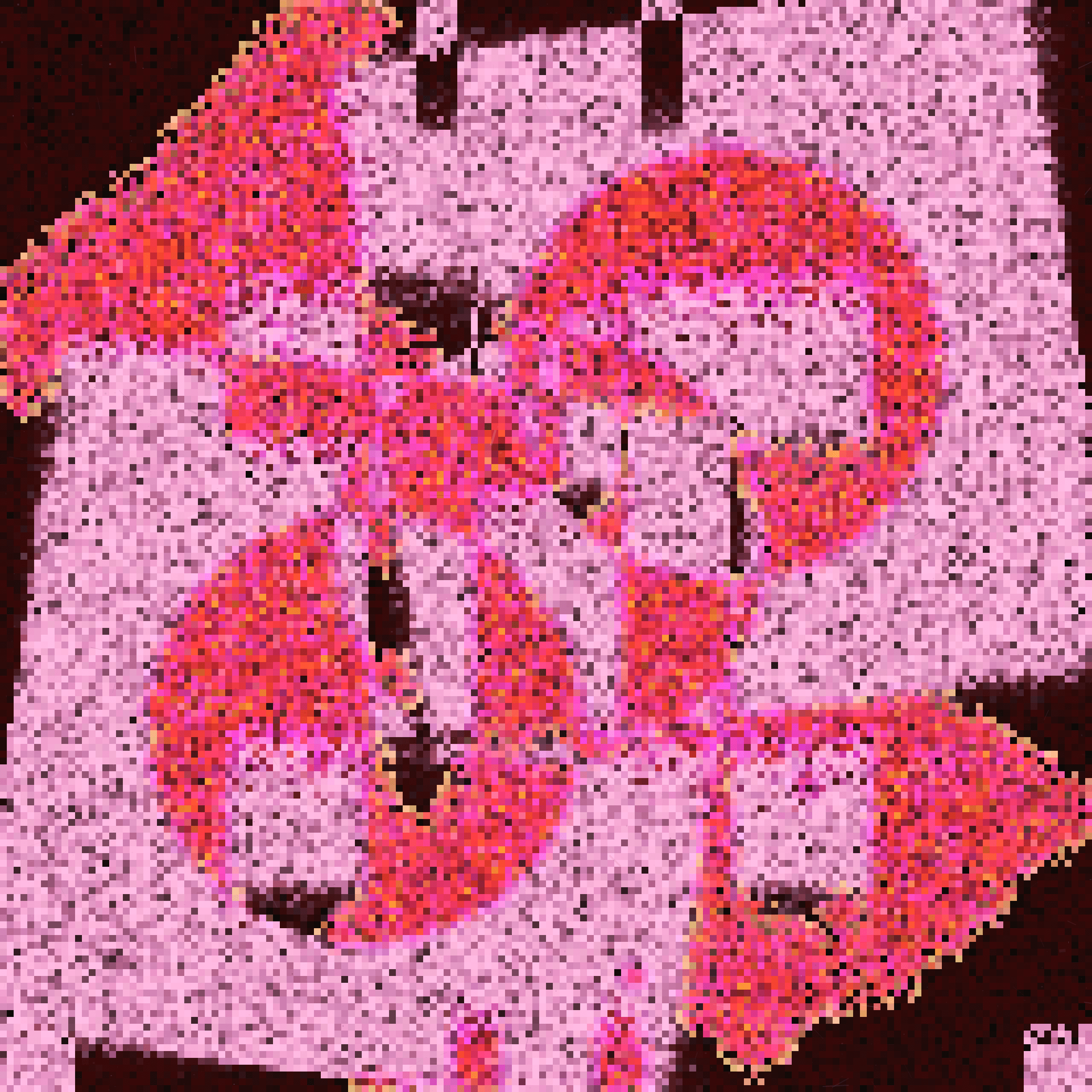 395000223