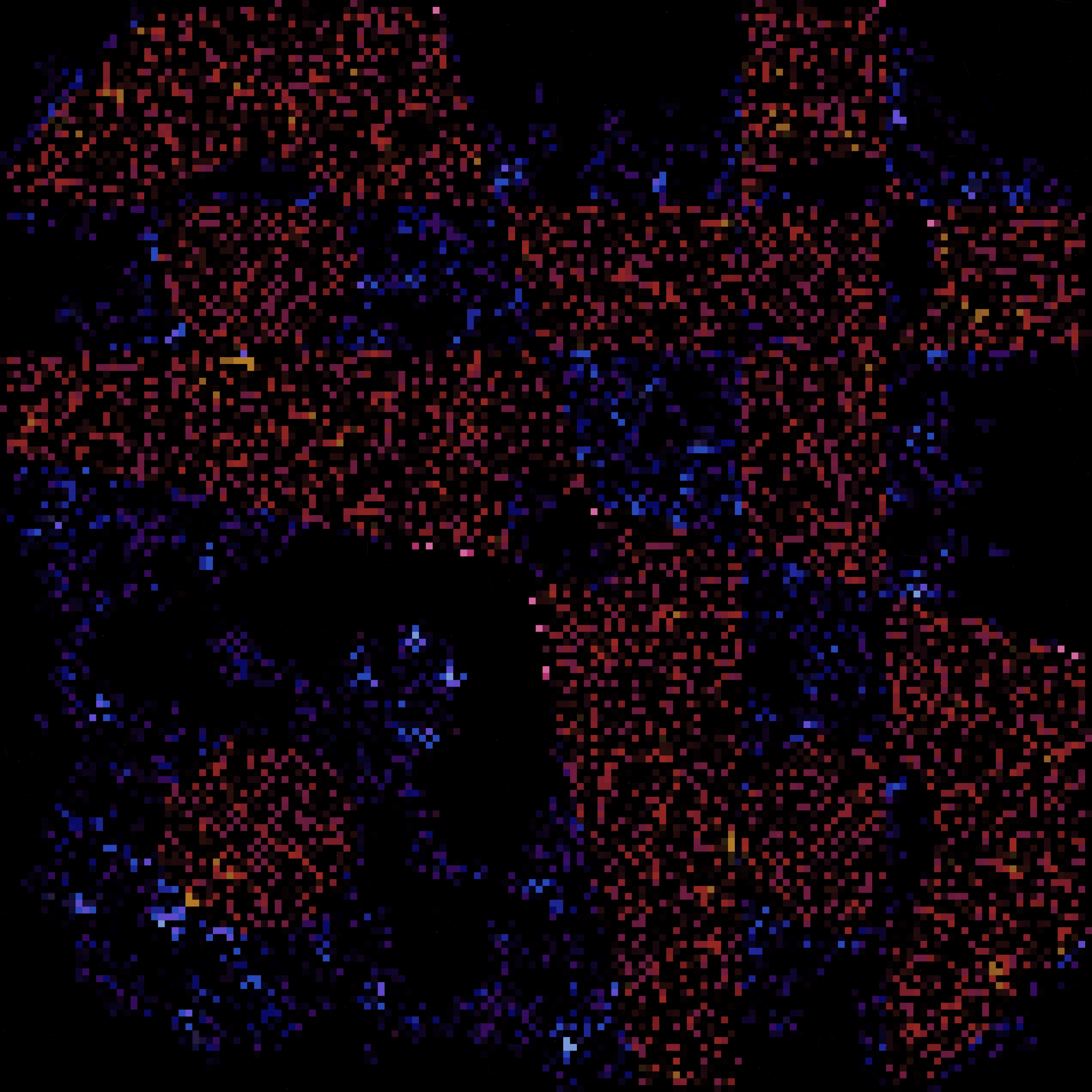 395000243