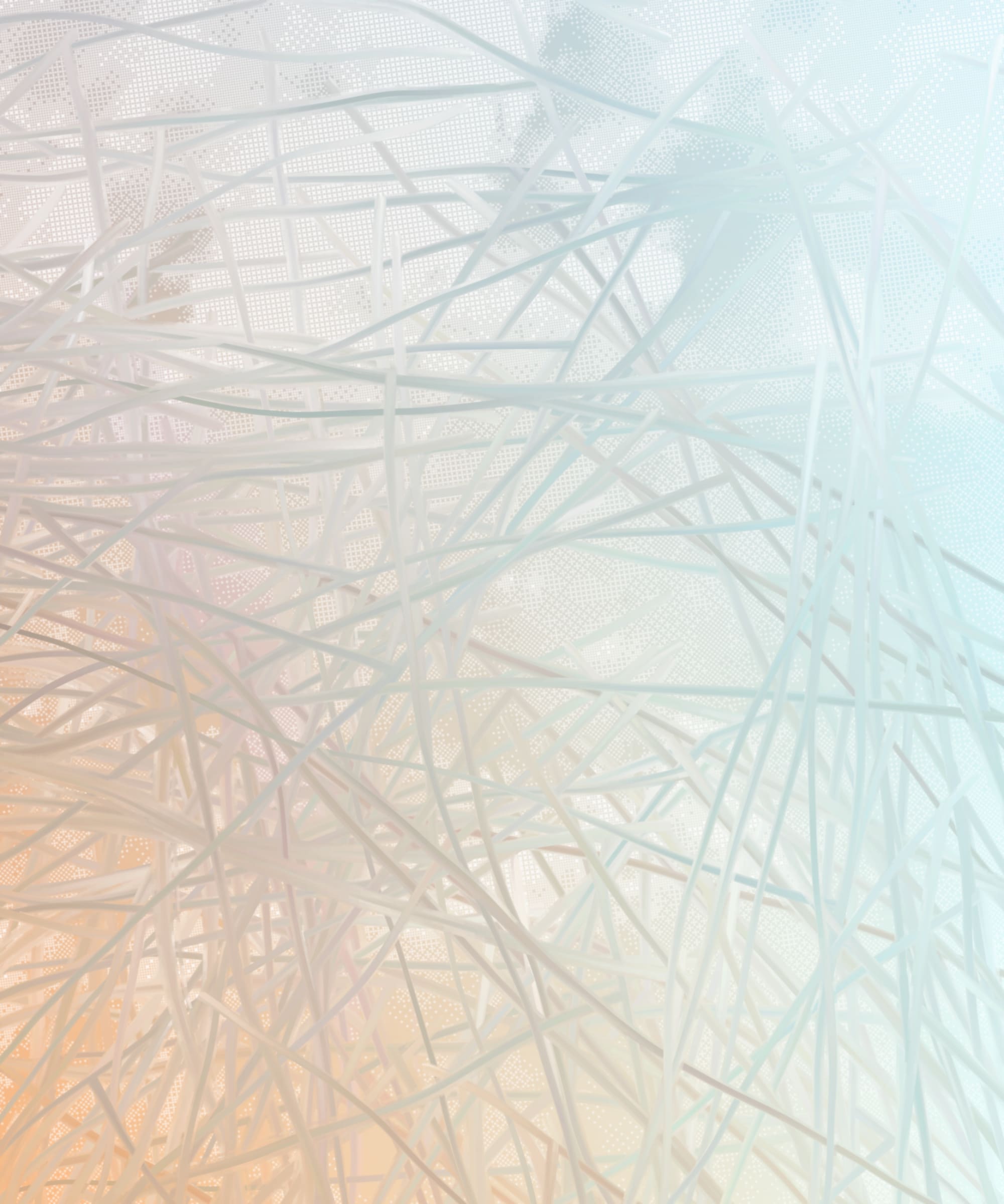 chaos comes with the summer haze #405000009
