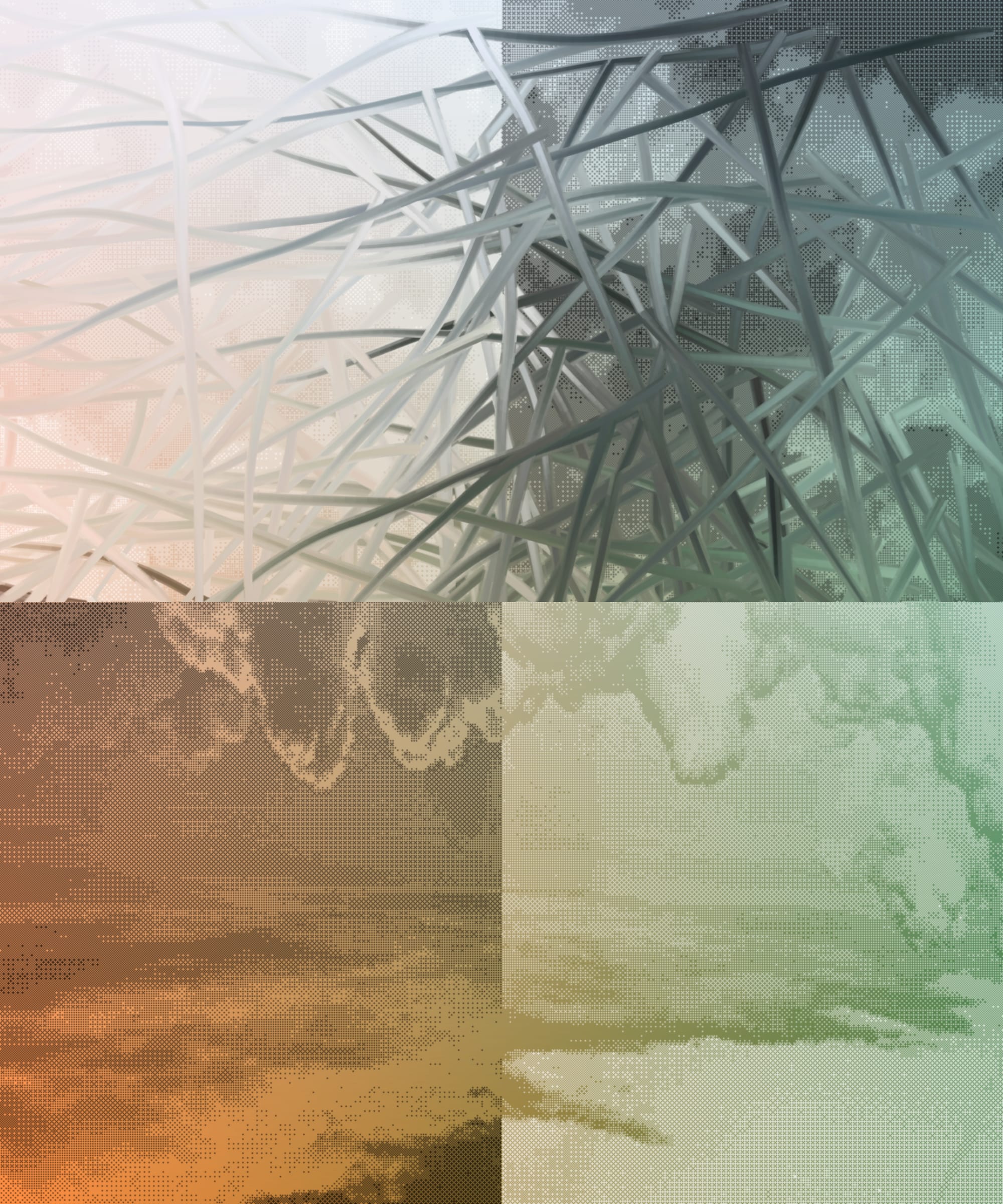 Cole Sternberg header