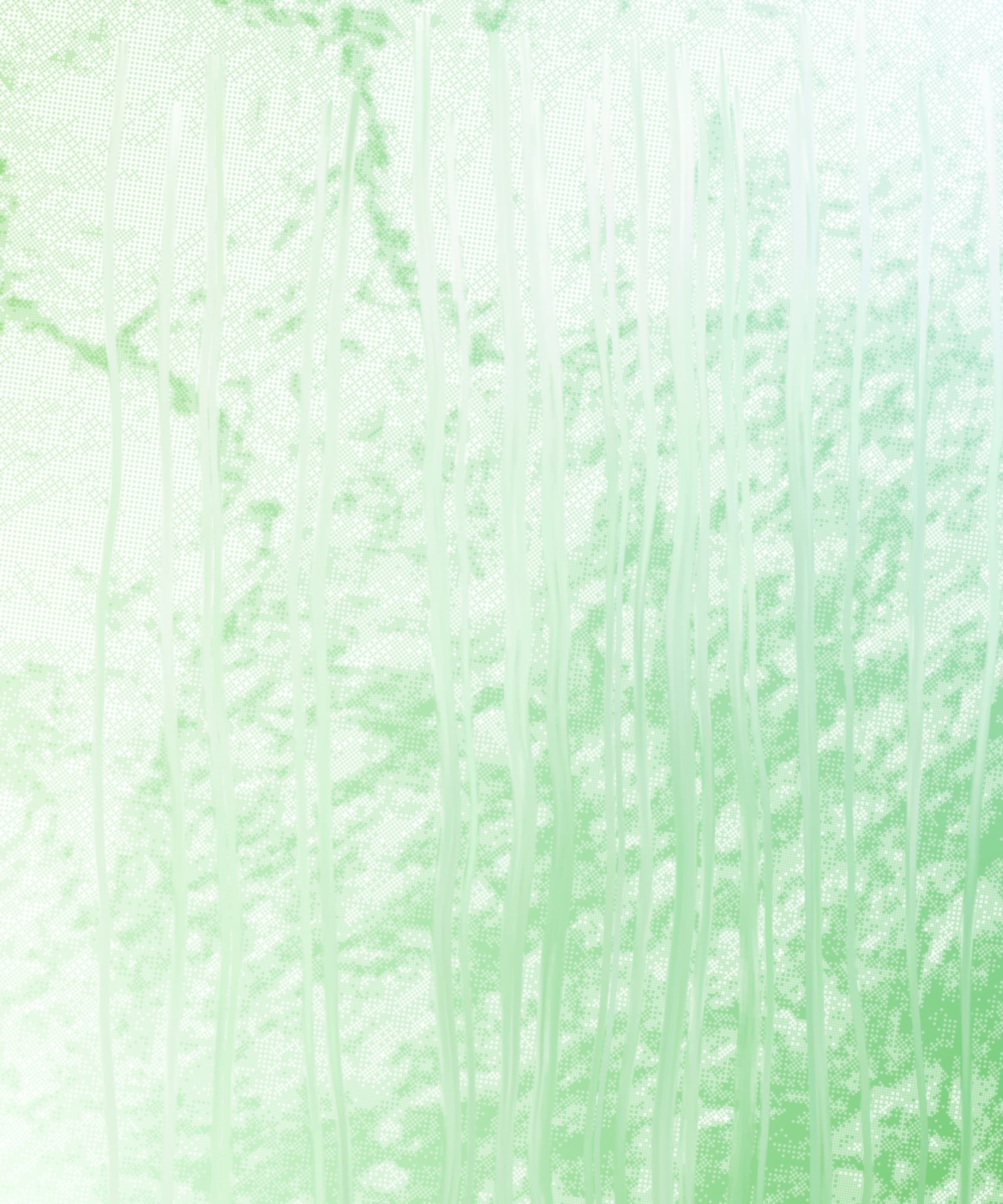 chaos comes with the summer haze #405000065