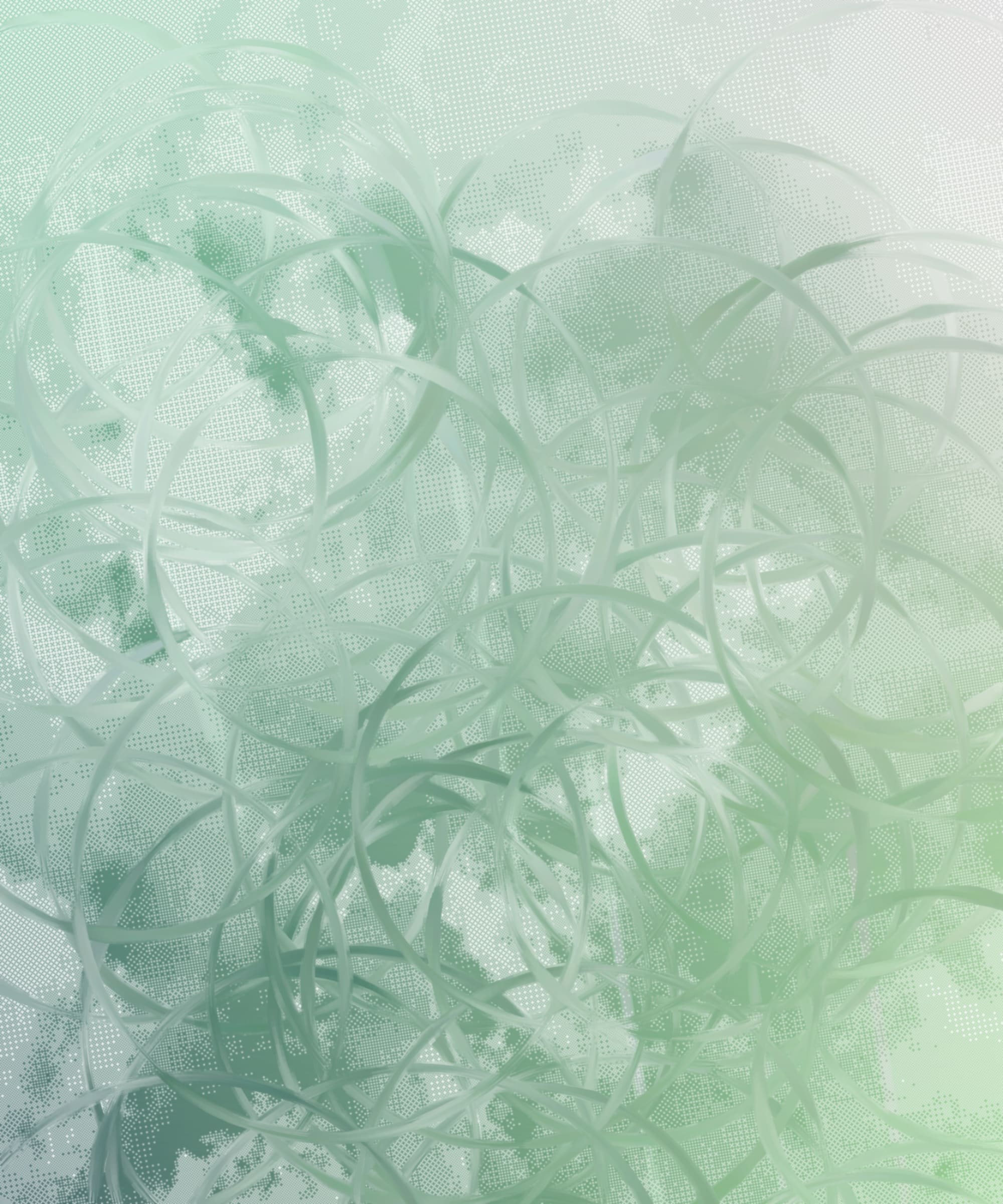 chaos comes with the summer haze #405000091