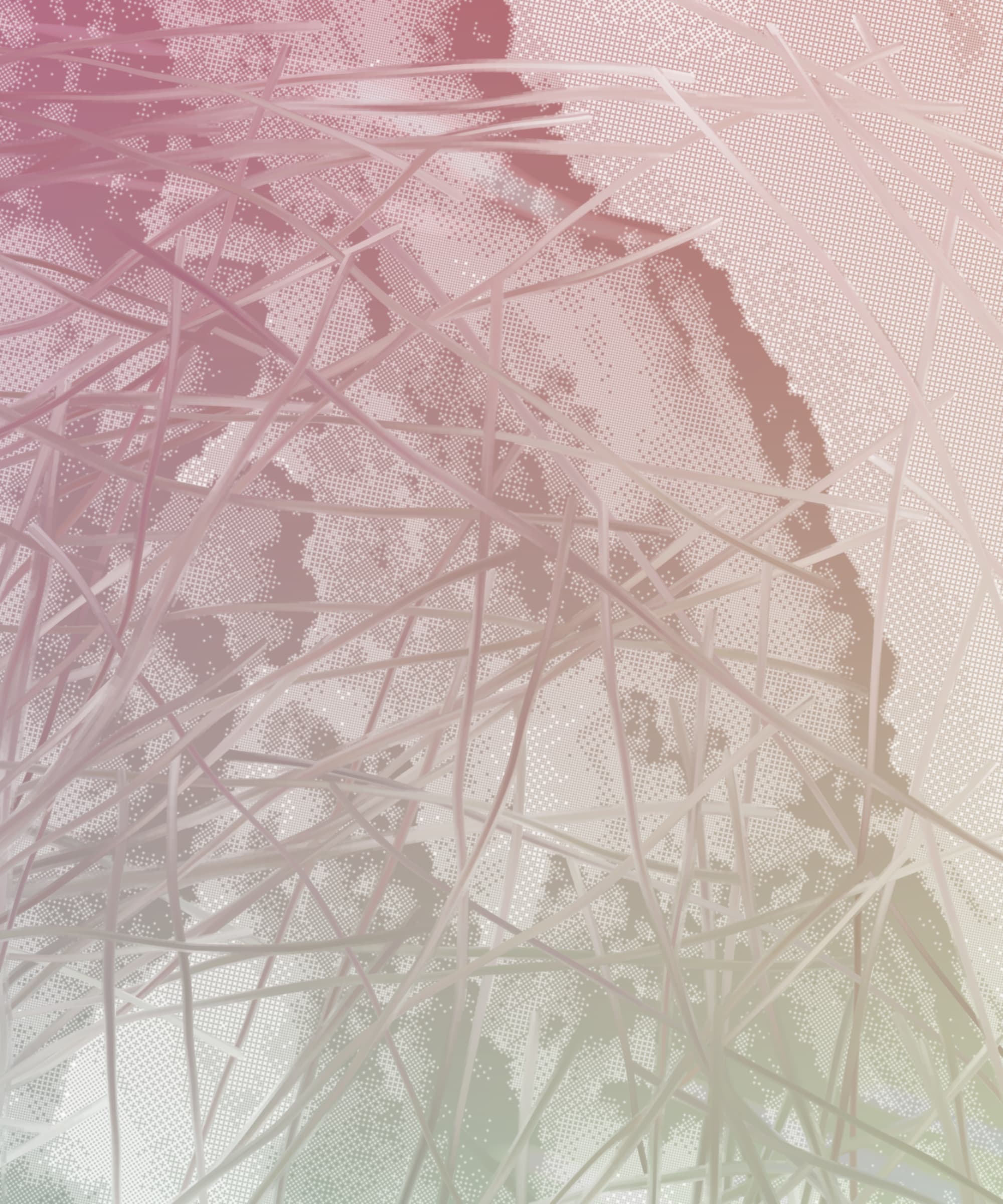 chaos comes with the summer haze #405000144