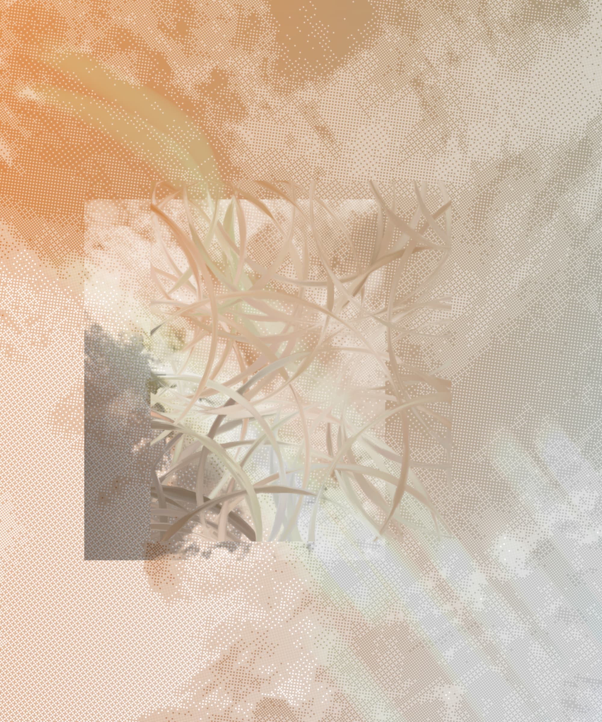chaos comes with the summer haze #405000148