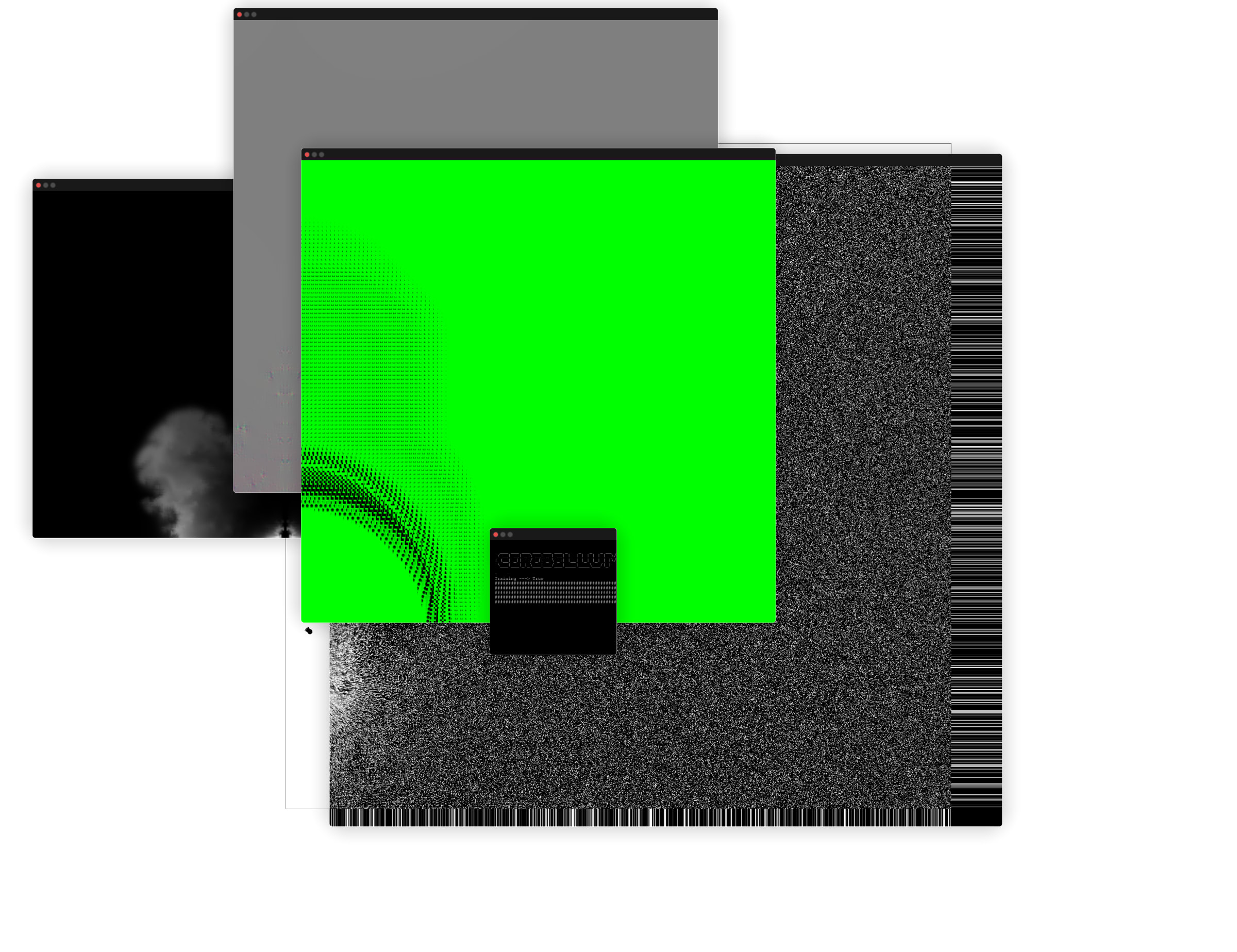 Featured token for: Cerebellum