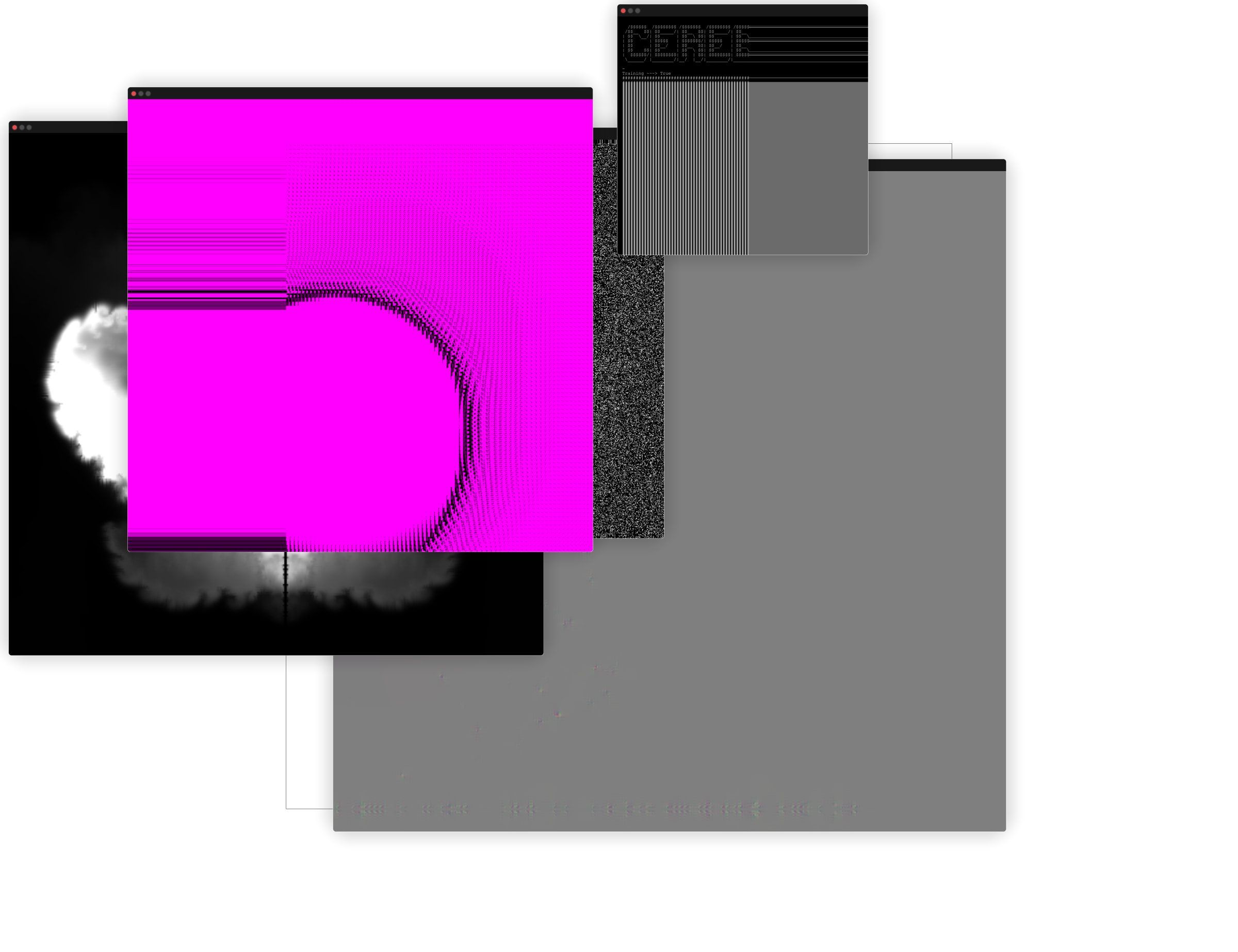 Cerebellum