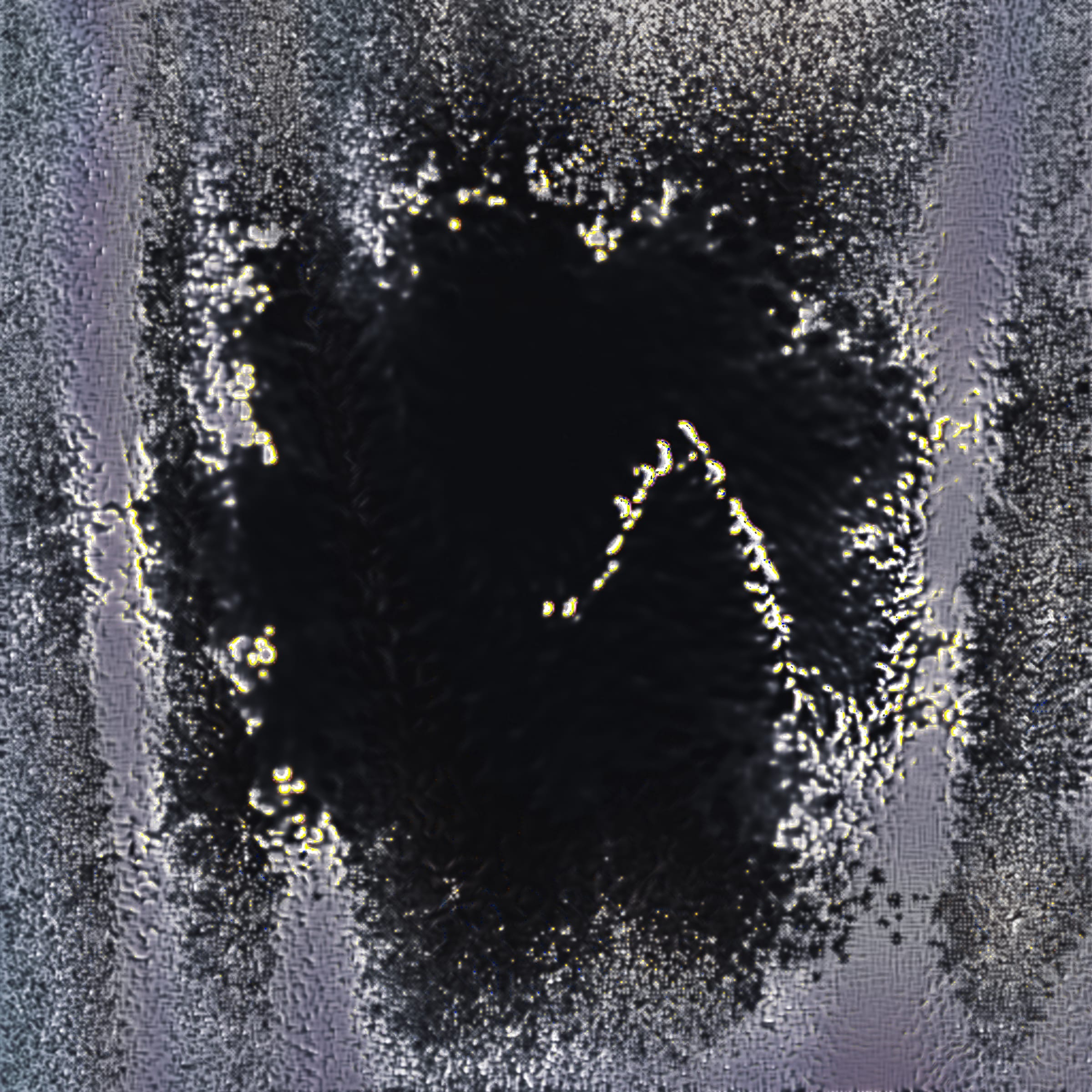 416000204