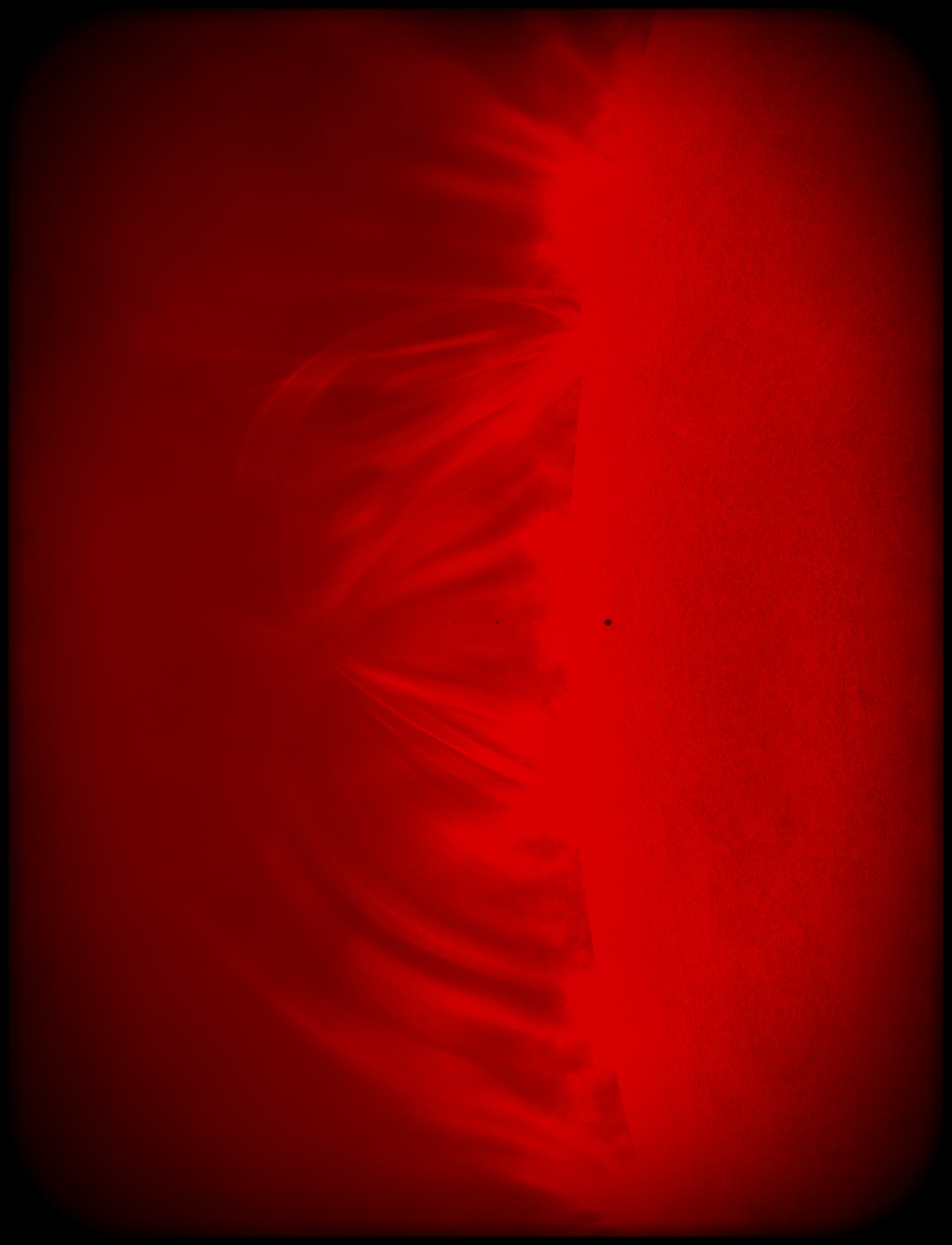 423000217