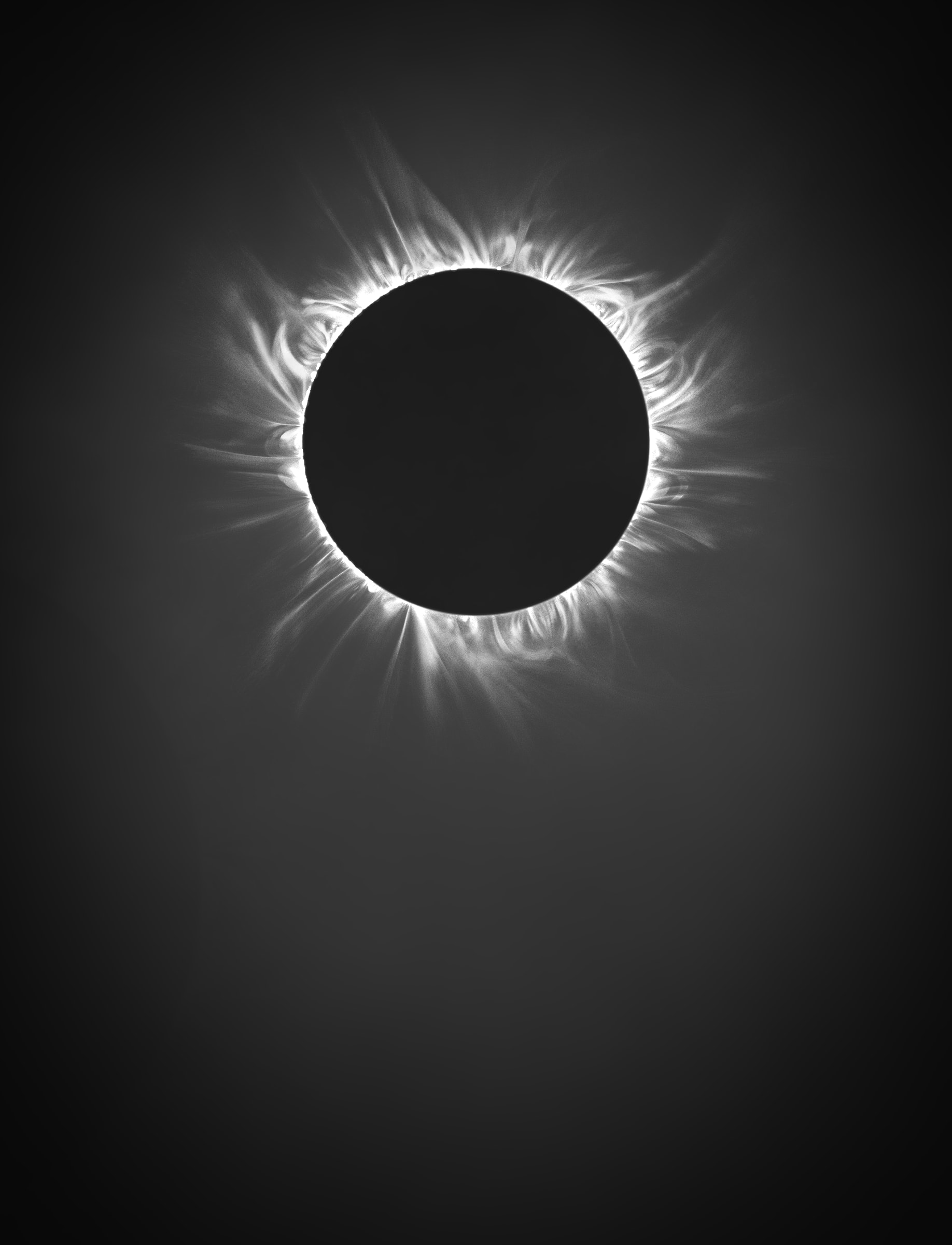 423000304