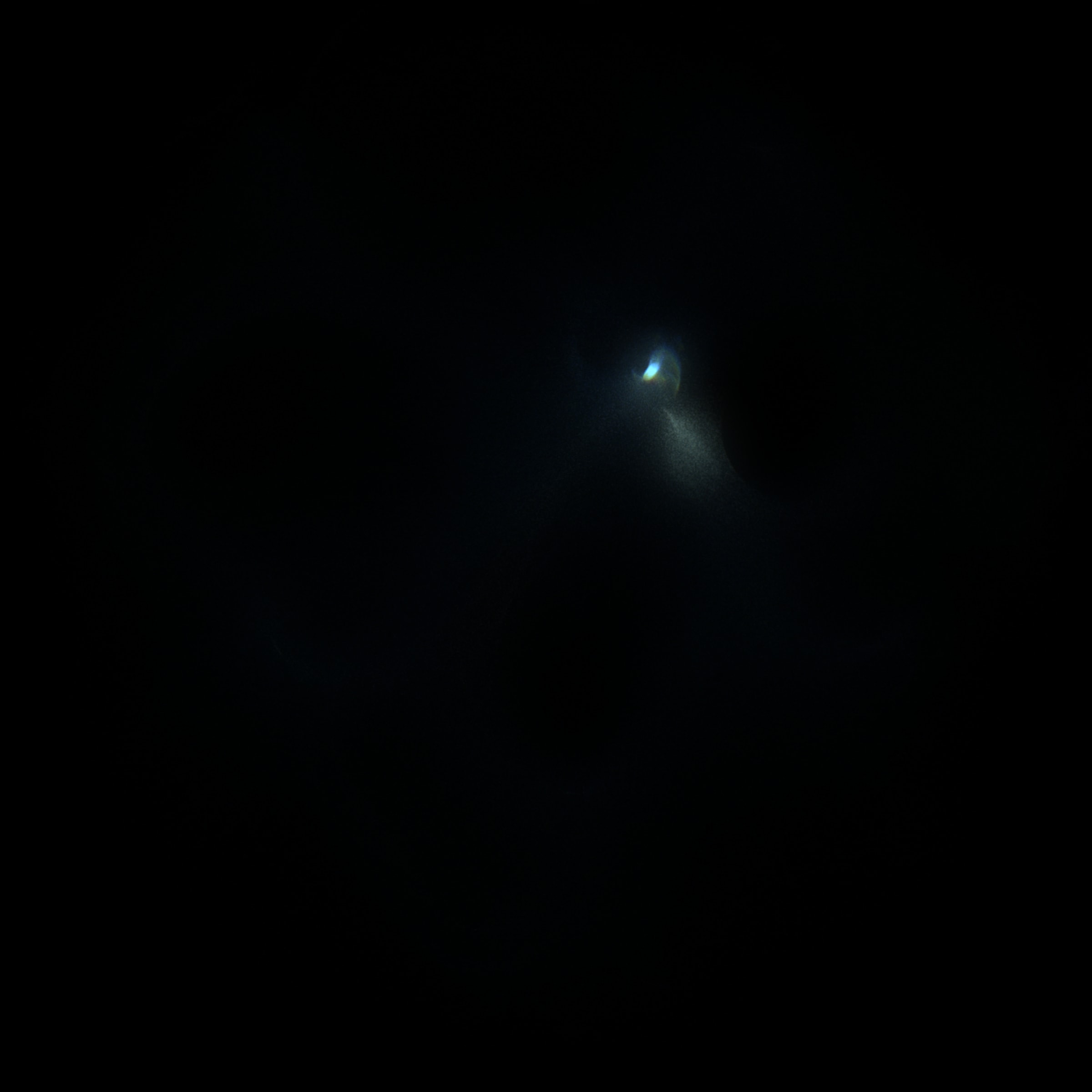 424000101