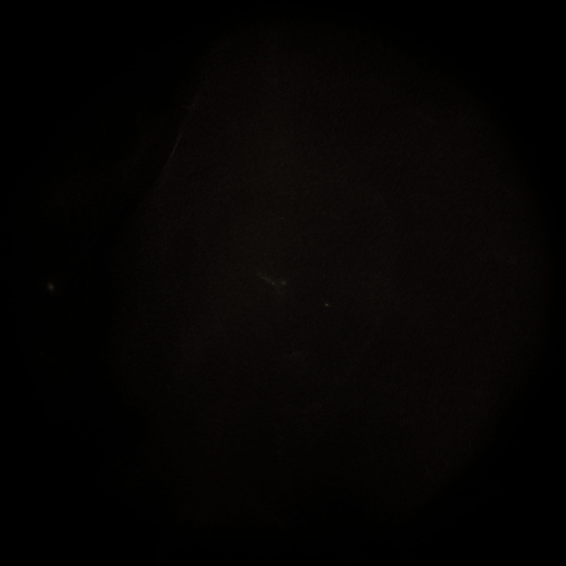 424000232