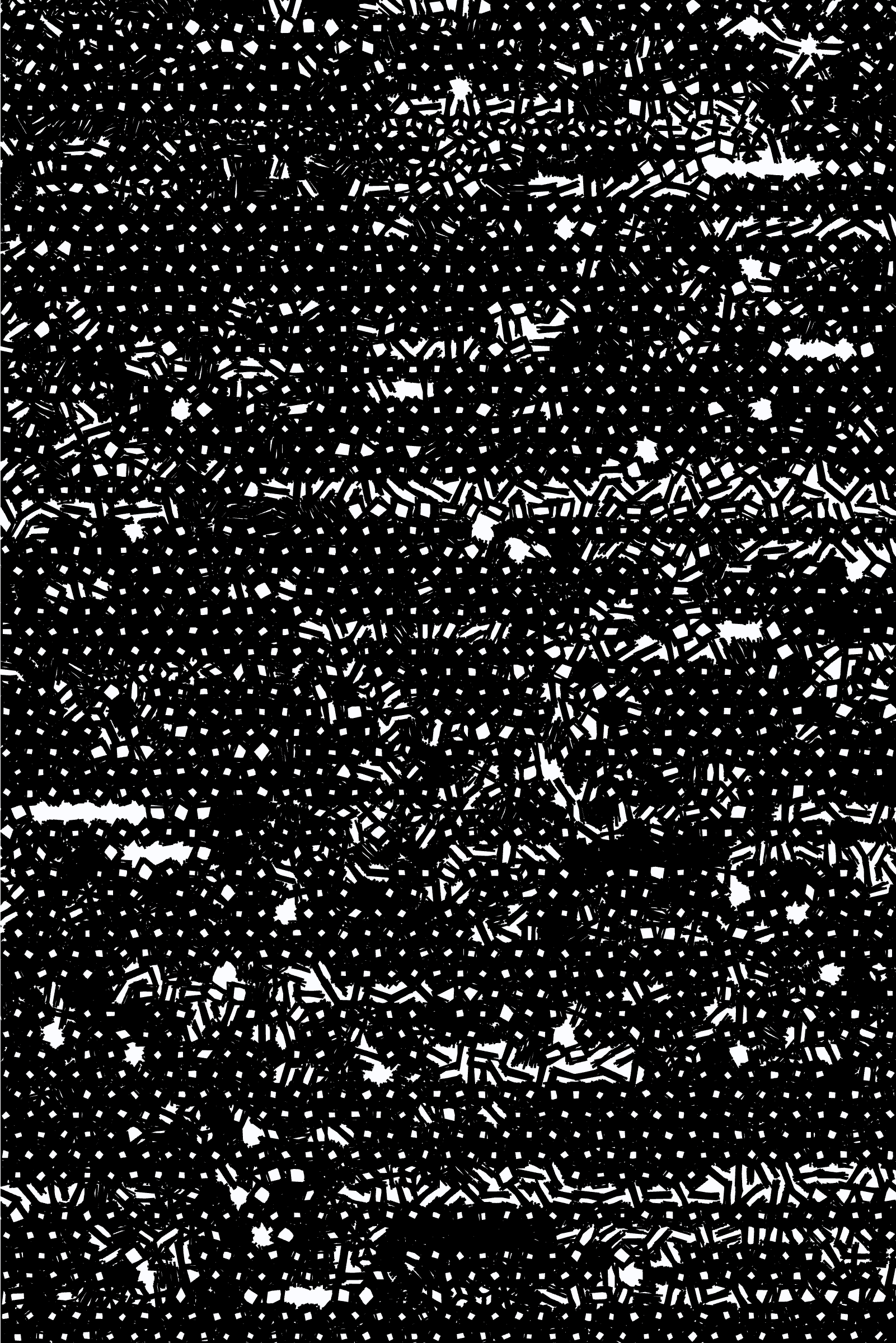 425000056