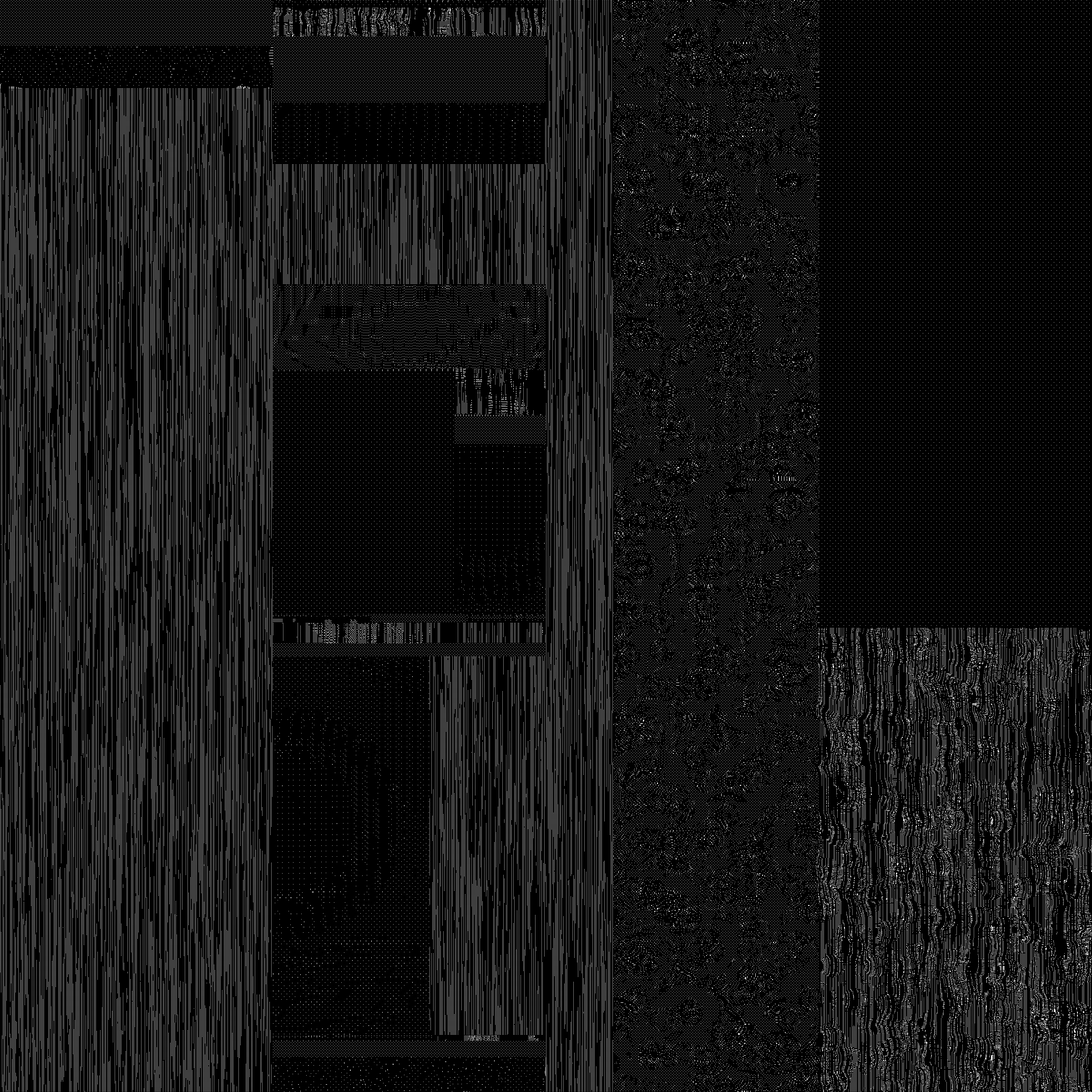 426000441