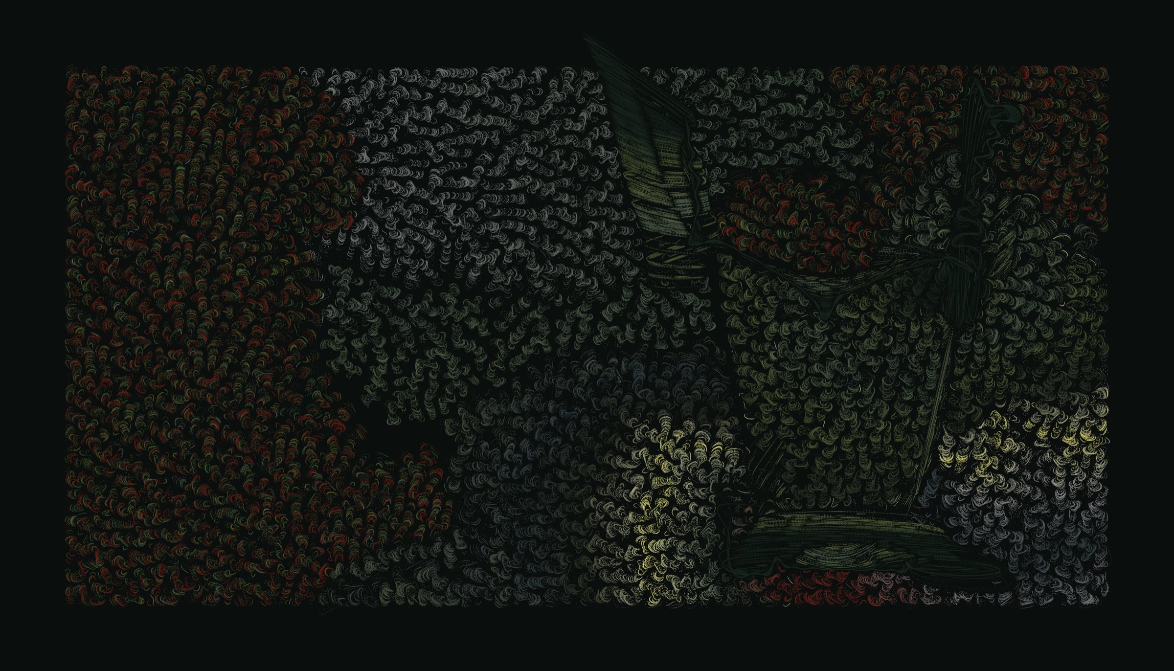 456000558