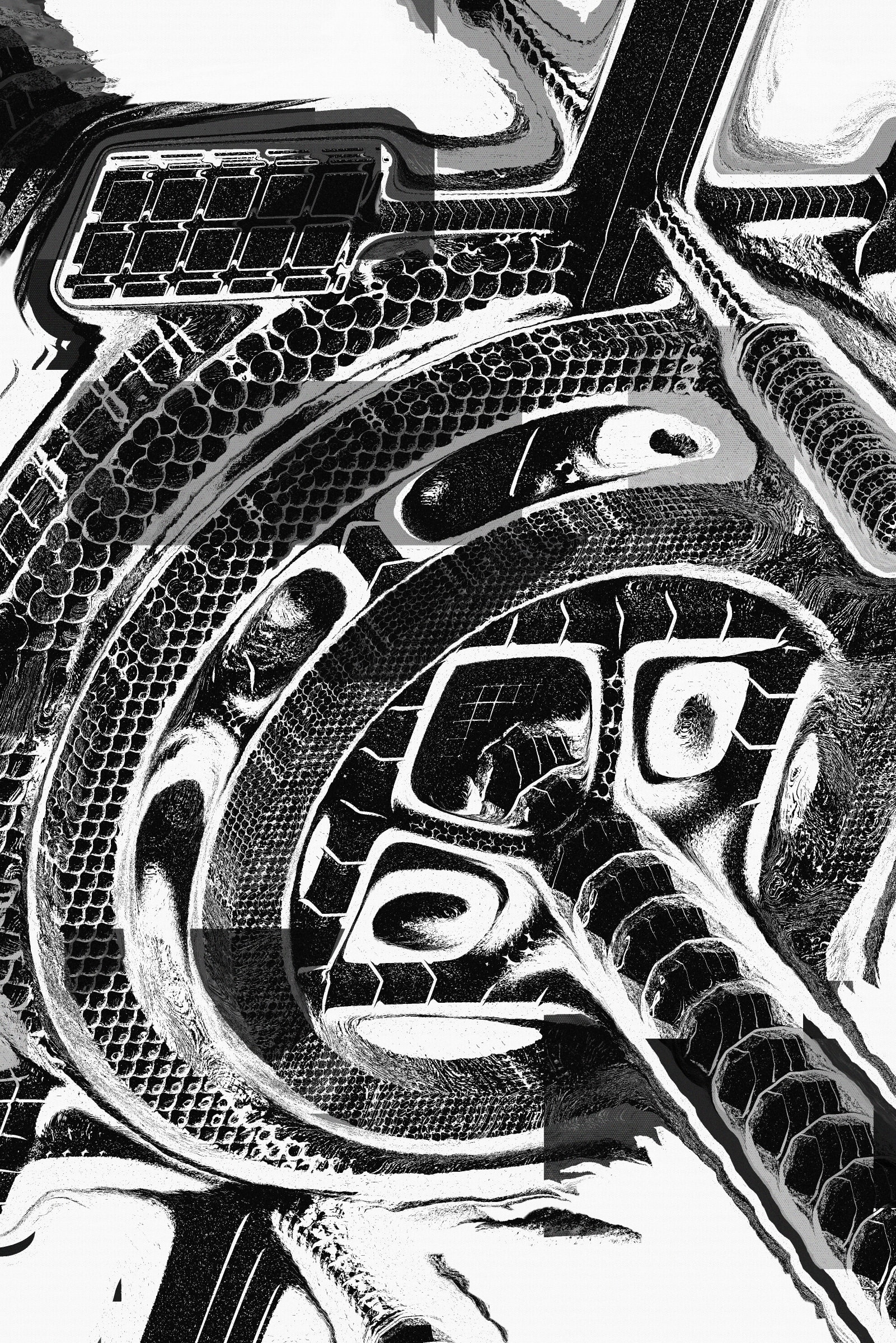 Gumbo #462000050