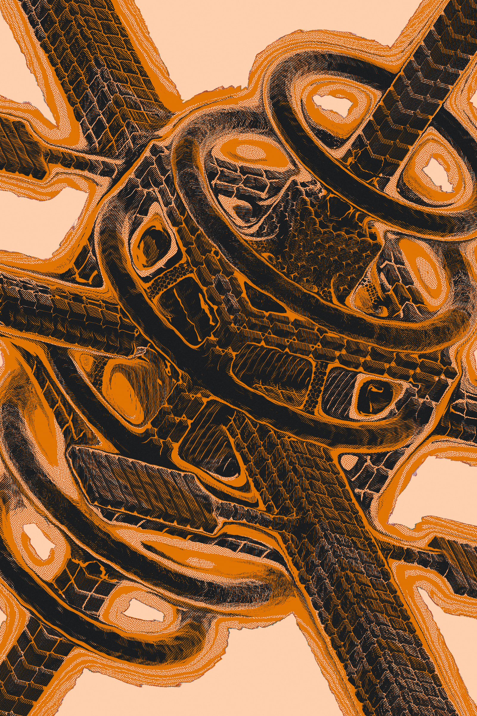 Gumbo #462000197
