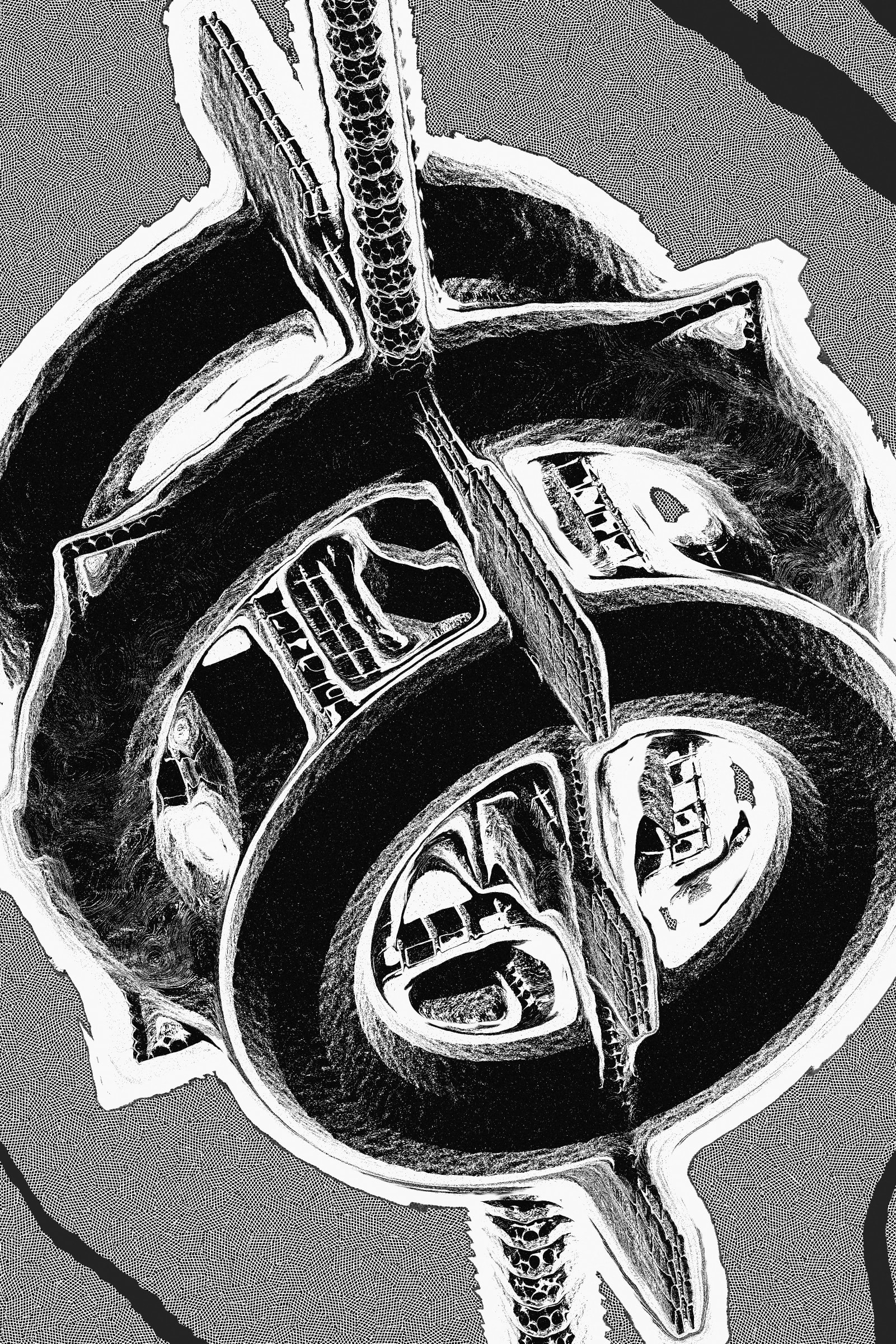 Gumbo #462000237
