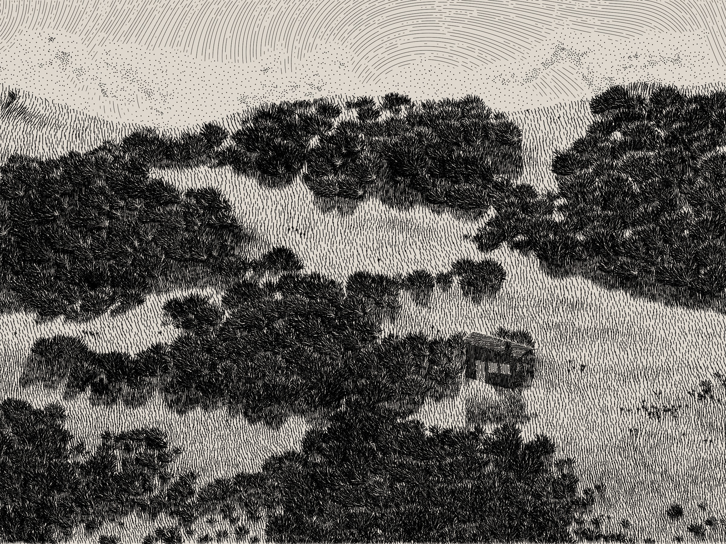 Life and Love and Nothing #476000022