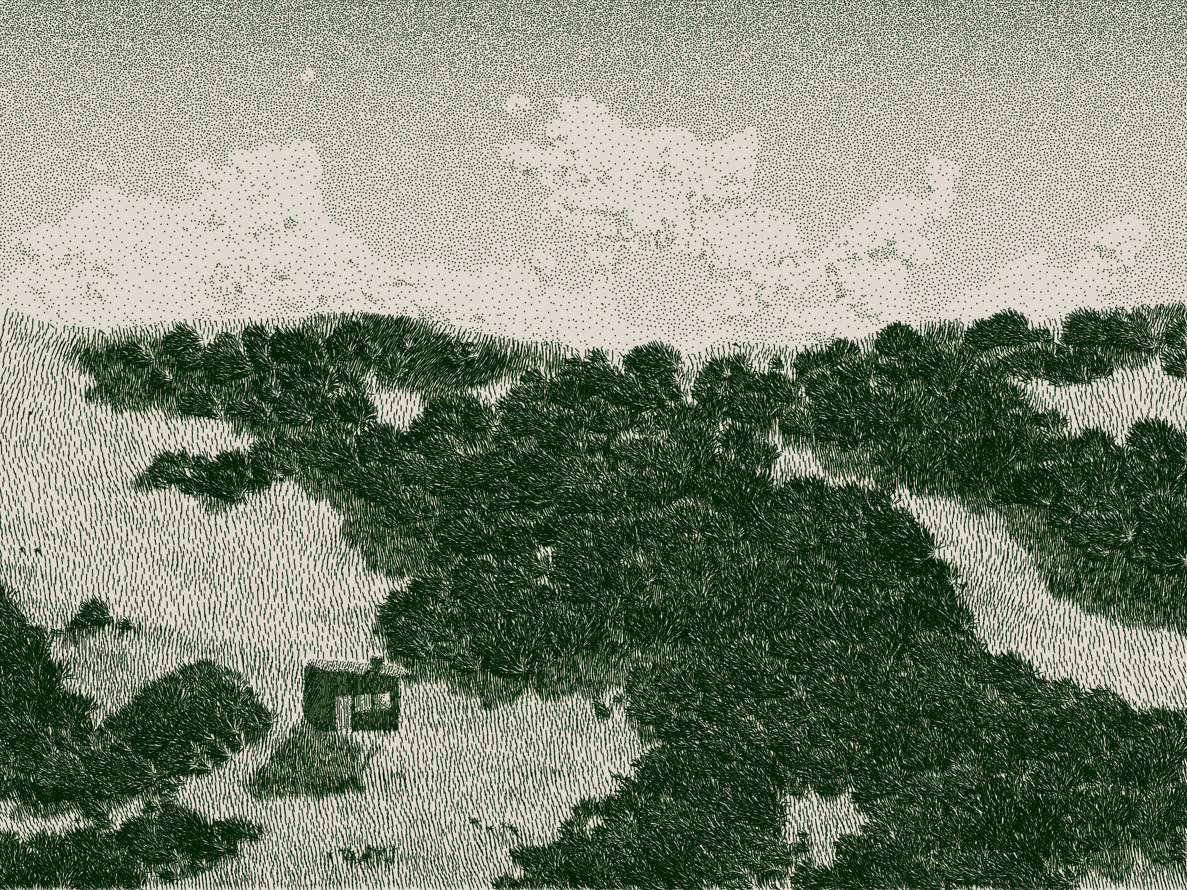 Life and Love and Nothing #476000052