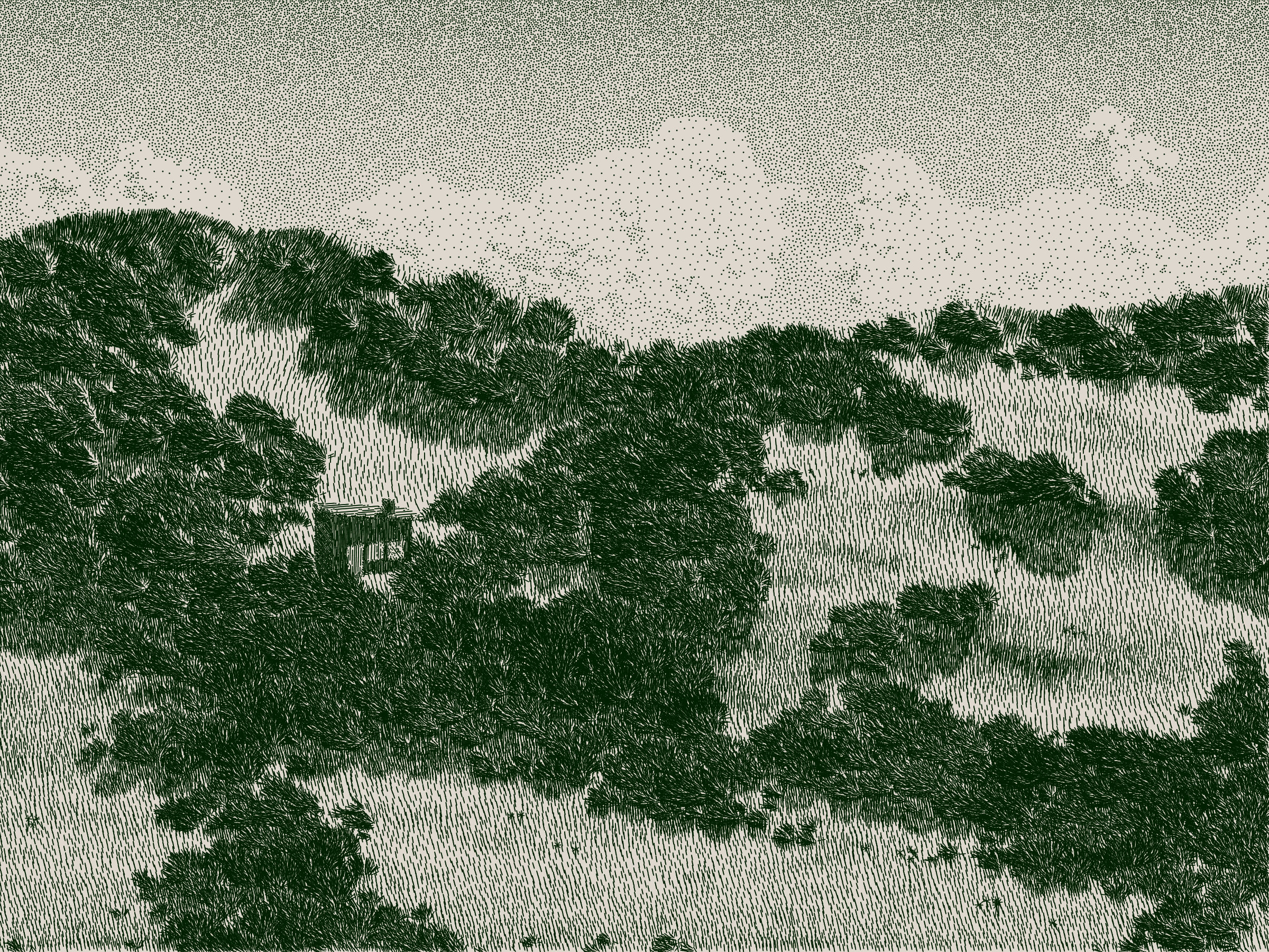 Life and Love and Nothing #476000128