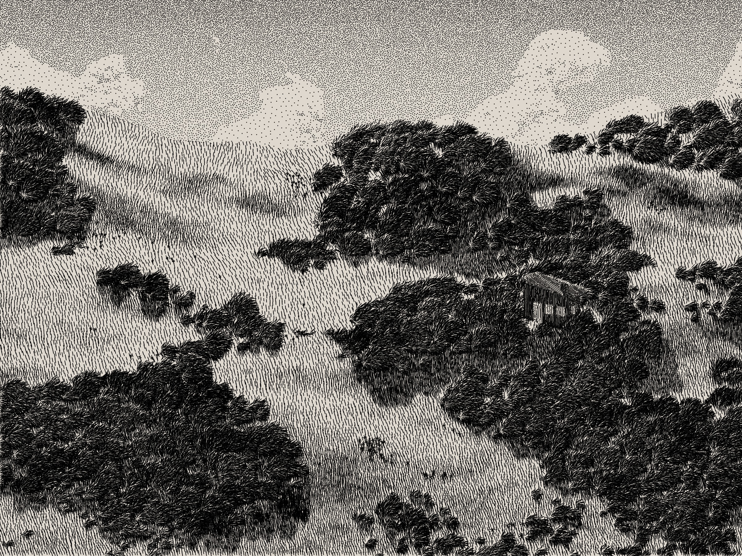 Life and Love and Nothing #476000134