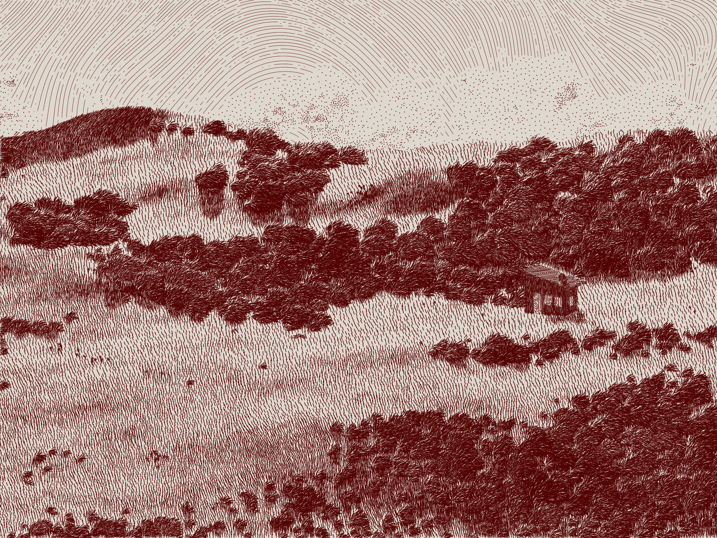 476000165