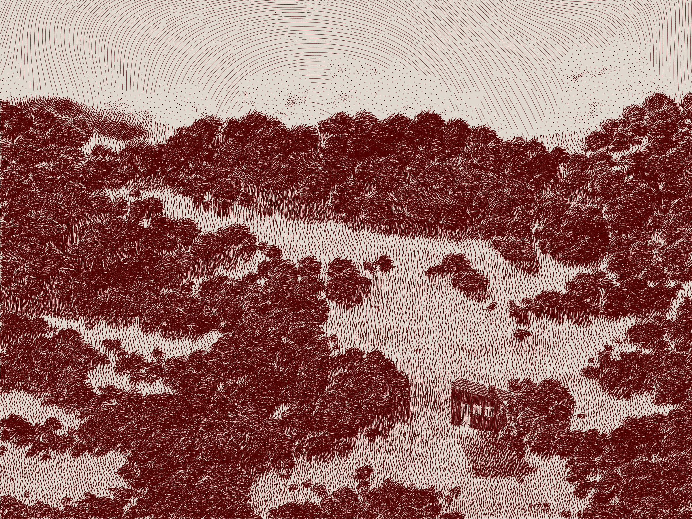 Life and Love and Nothing #476000168