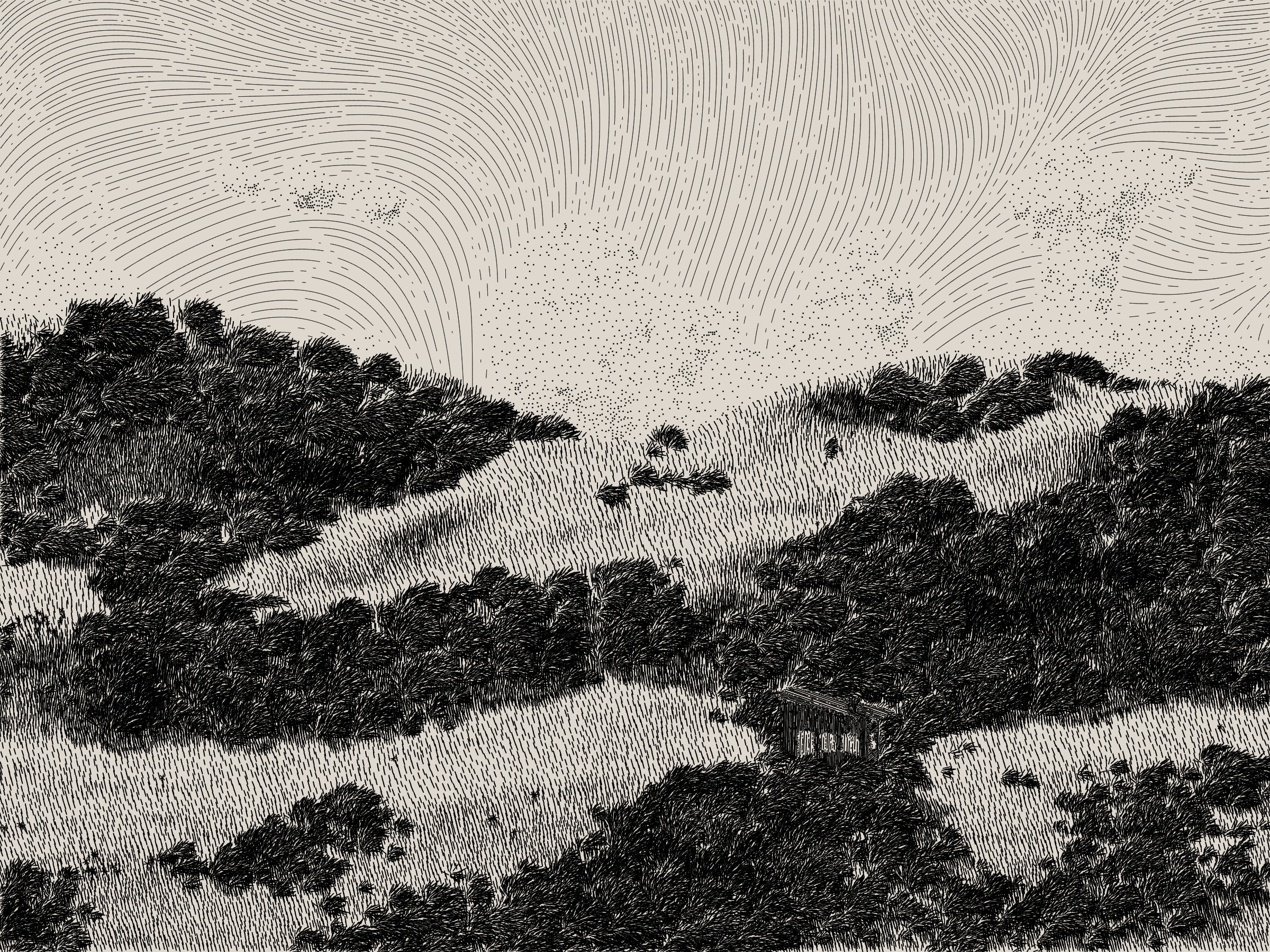 Life and Love and Nothing #476000173