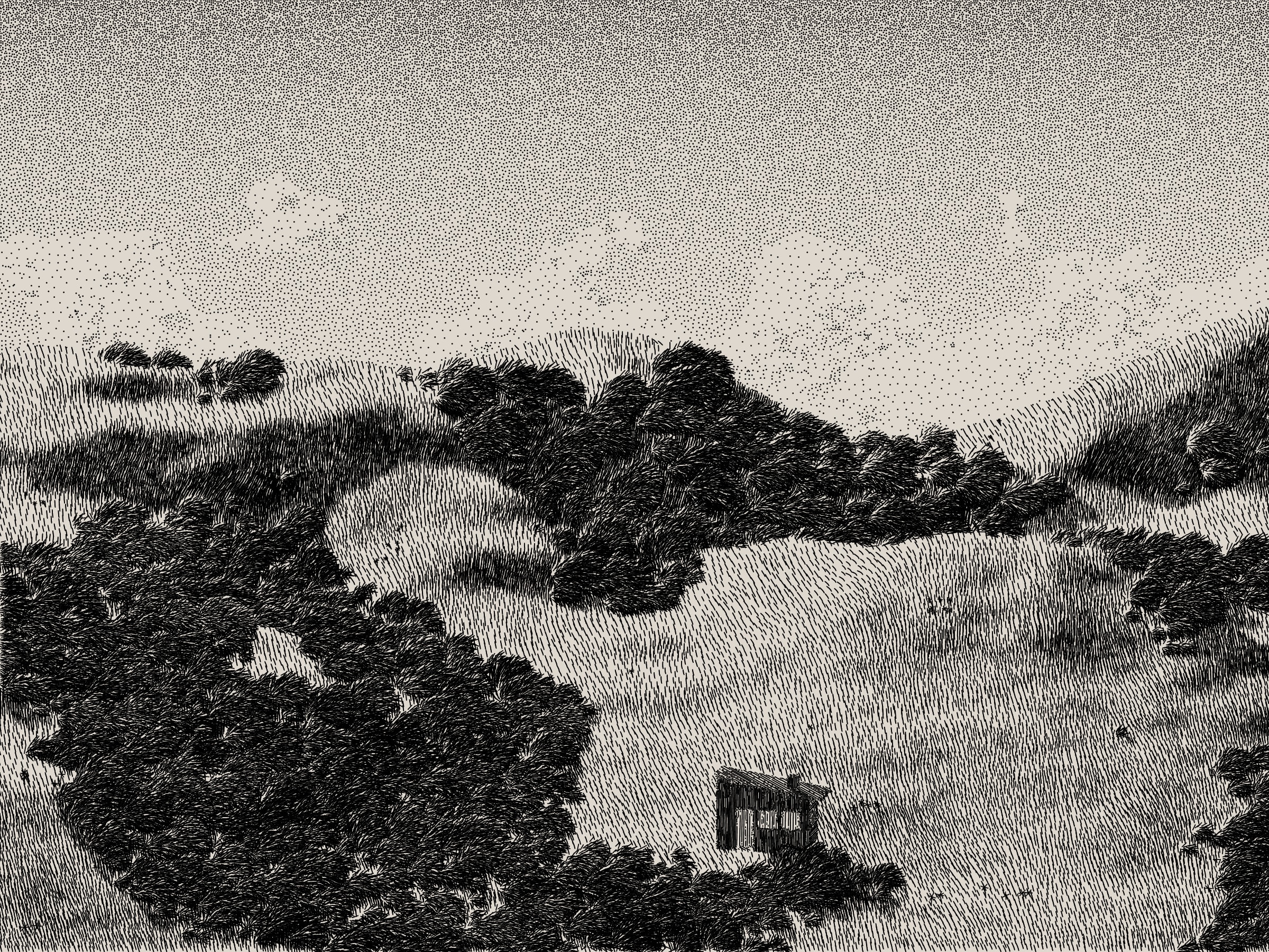 Featured token for: Life and Love and Nothing