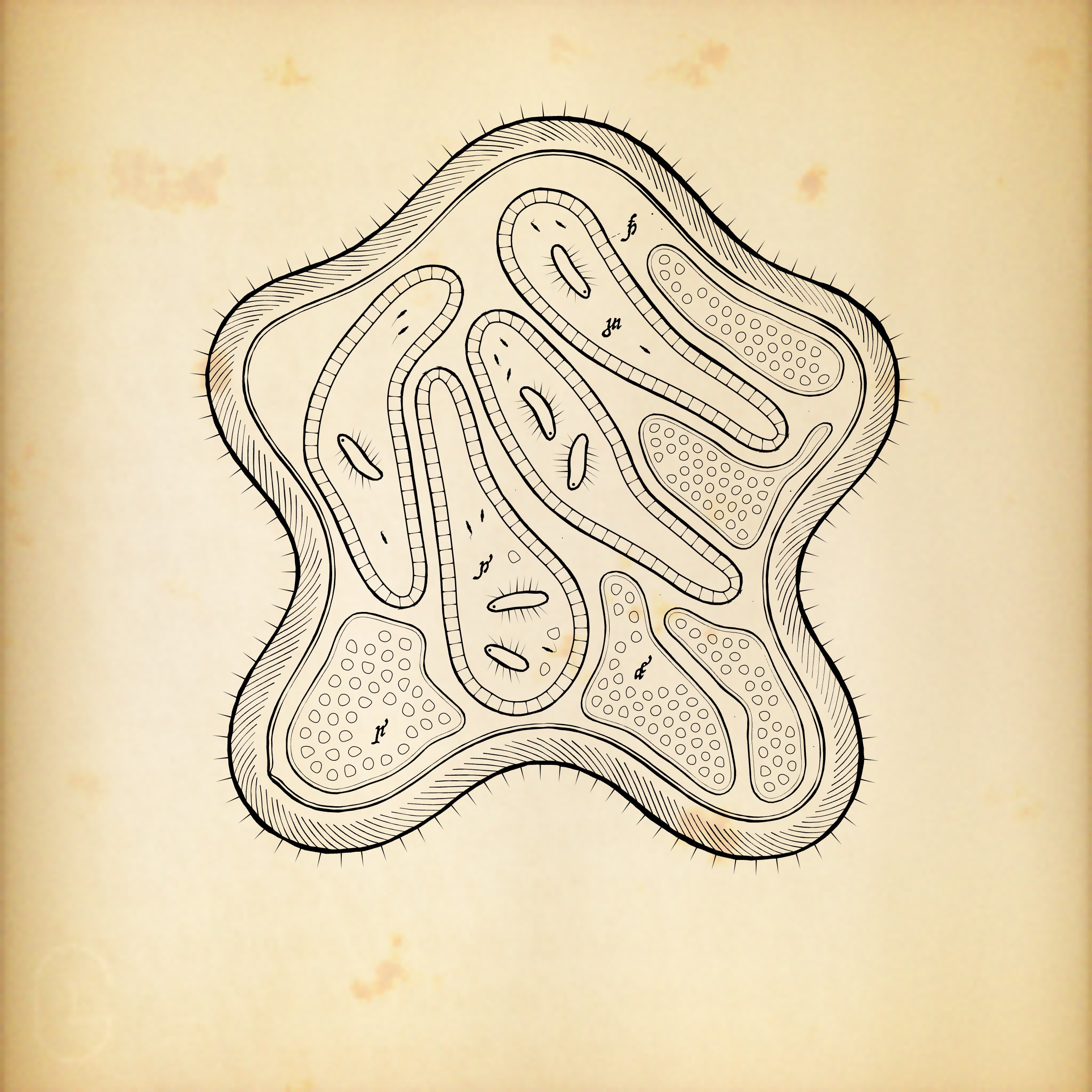 Cytographia preview 6