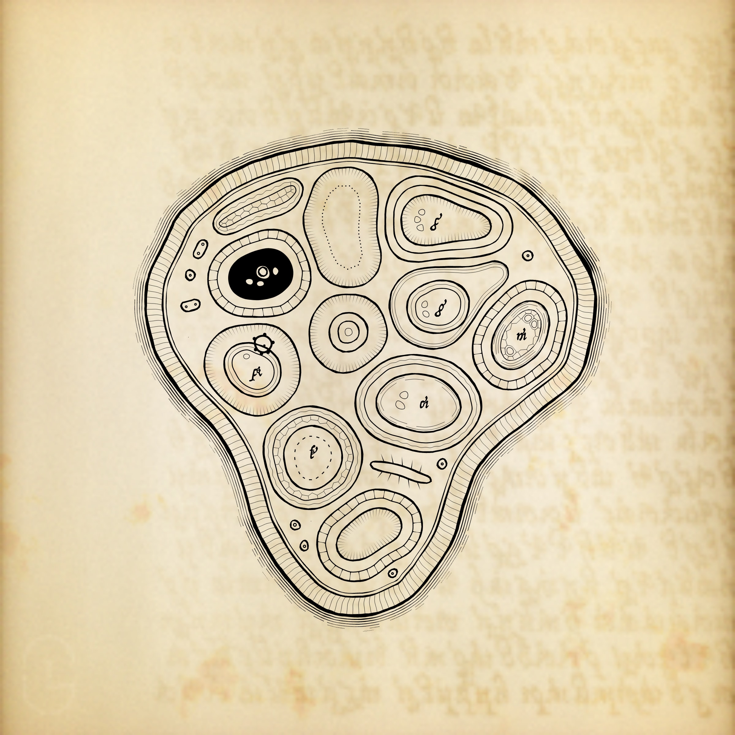 Cytographia preview 3