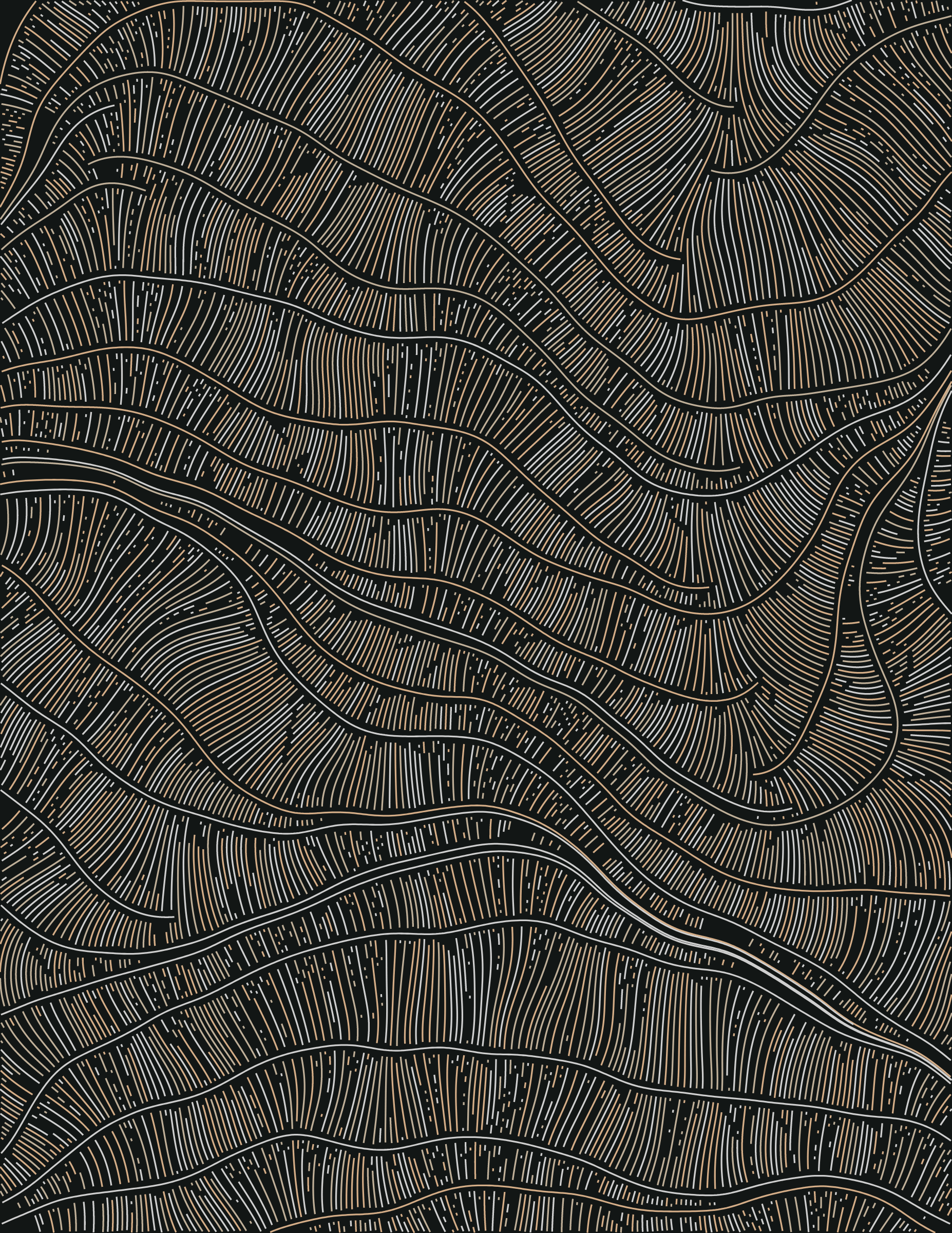 Streamlines
