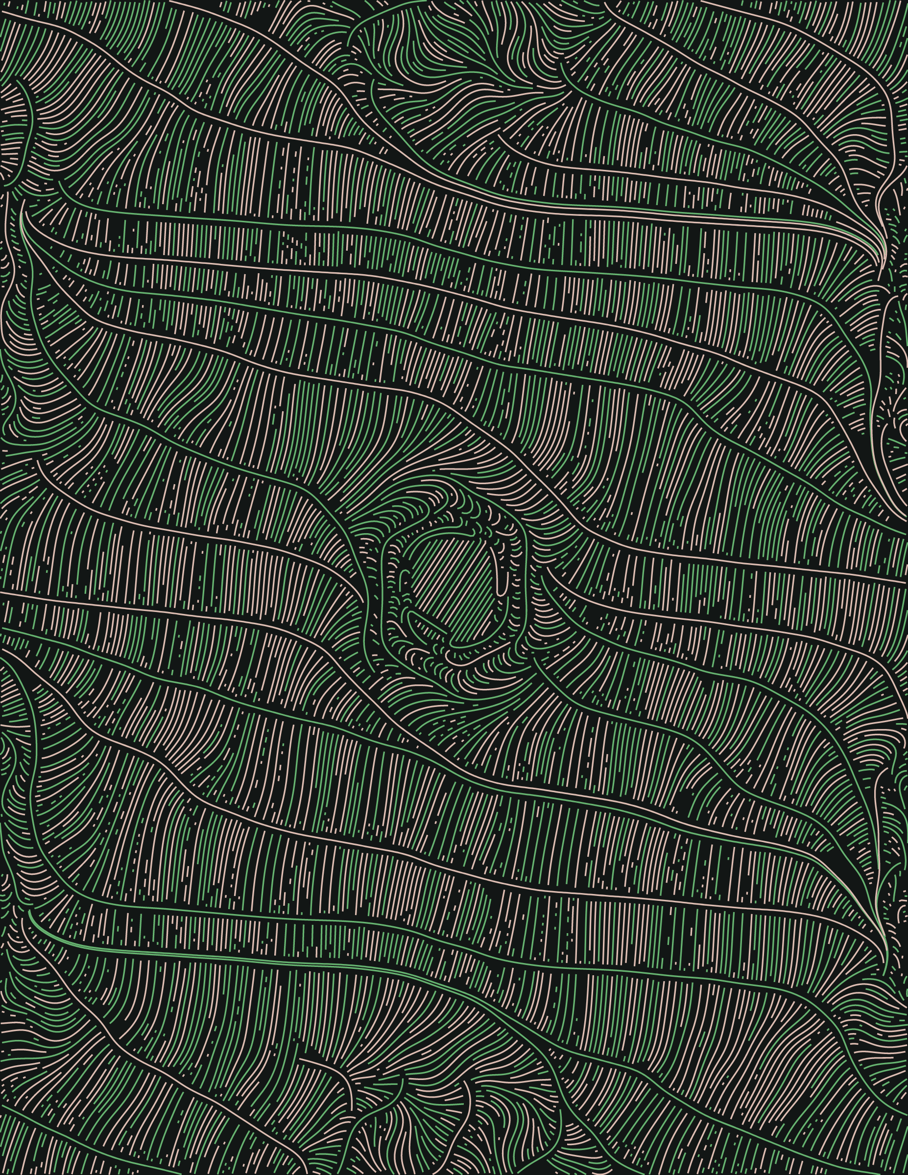 Streamlines