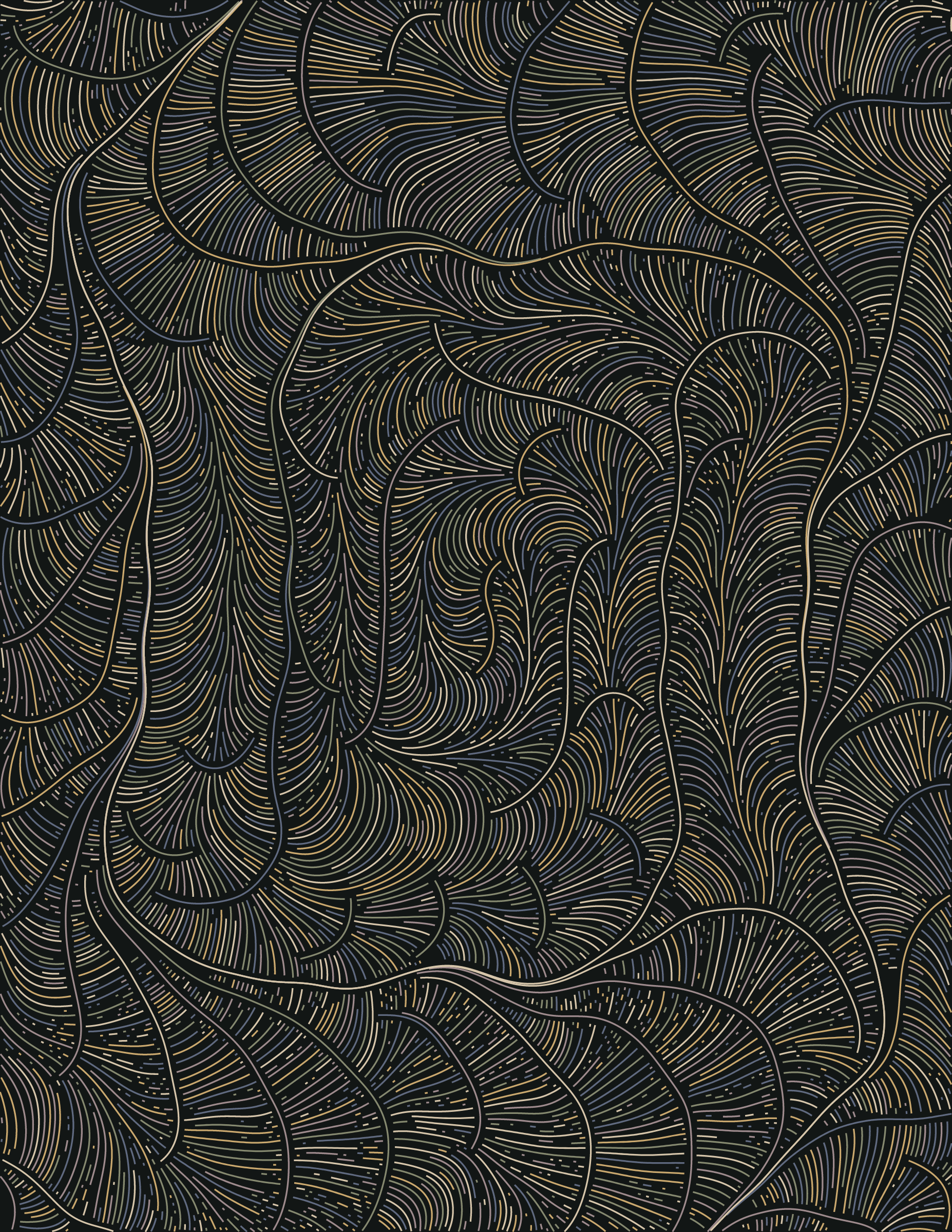 Streamlines