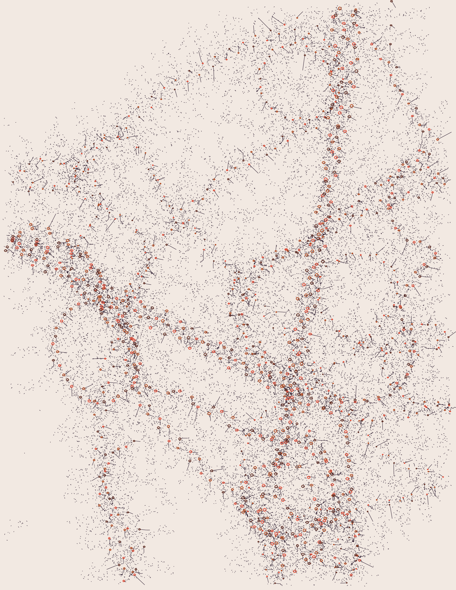 8000025