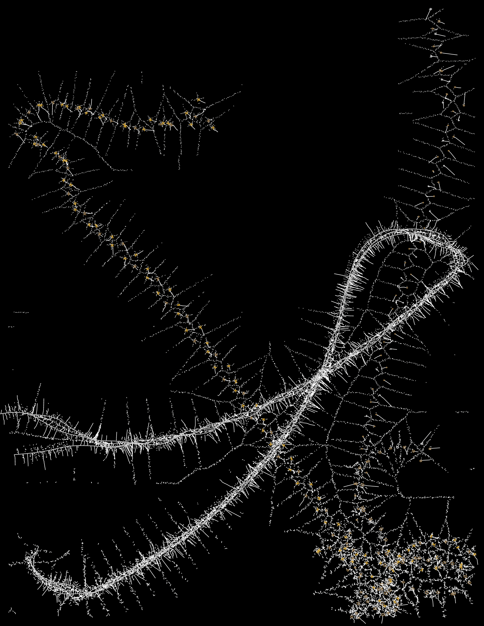 Featured token for: spectral