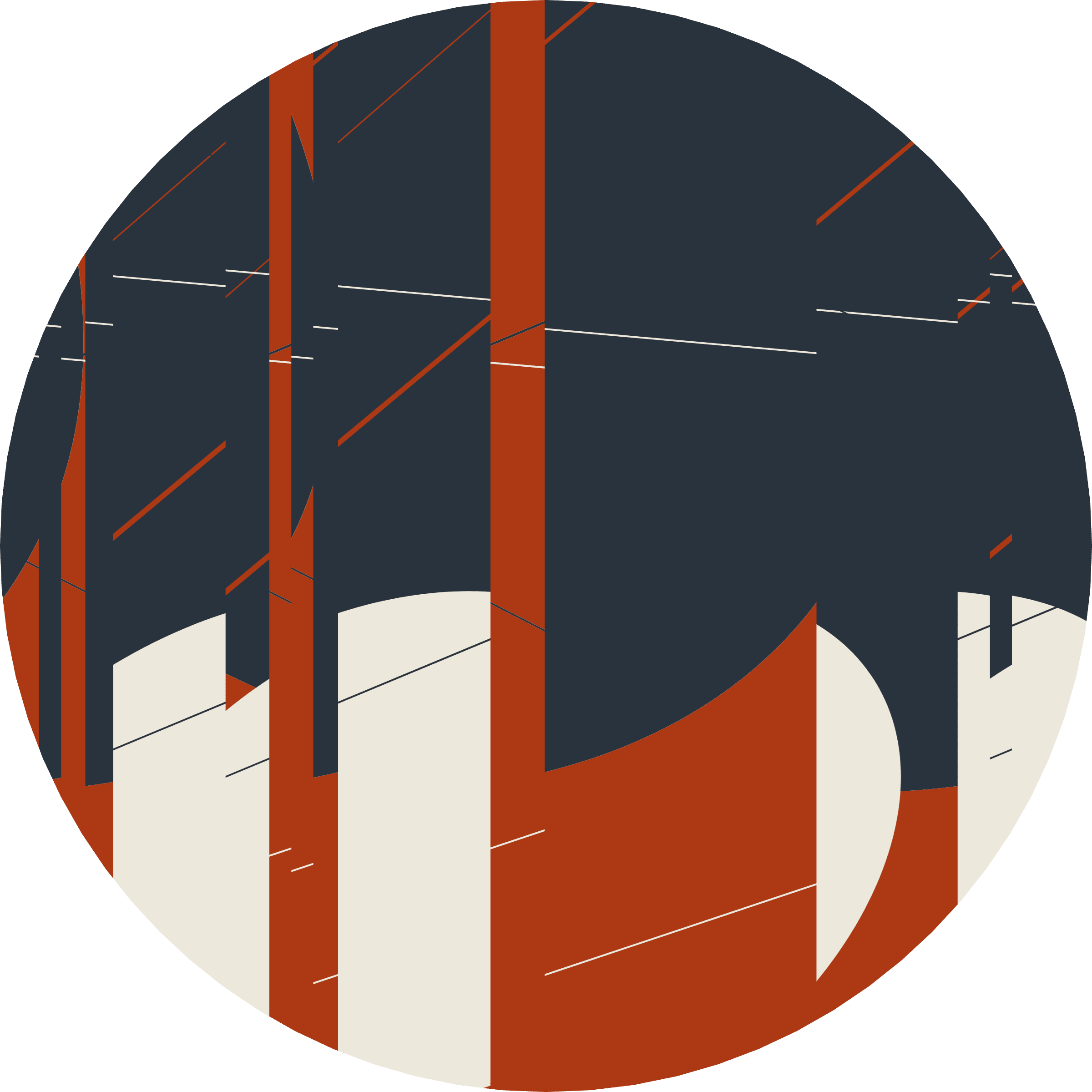 CENTURY preview 6
