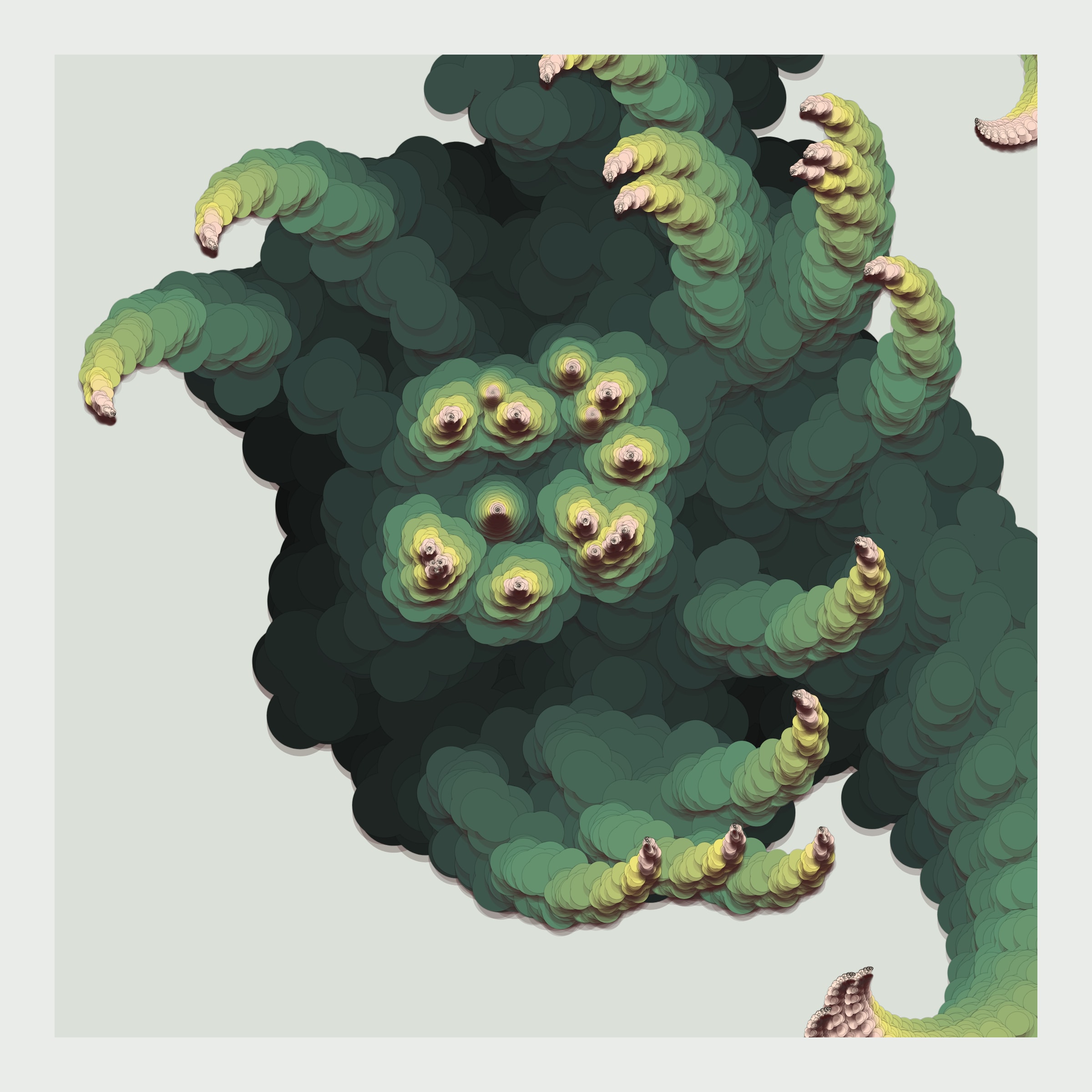 Octo Garden